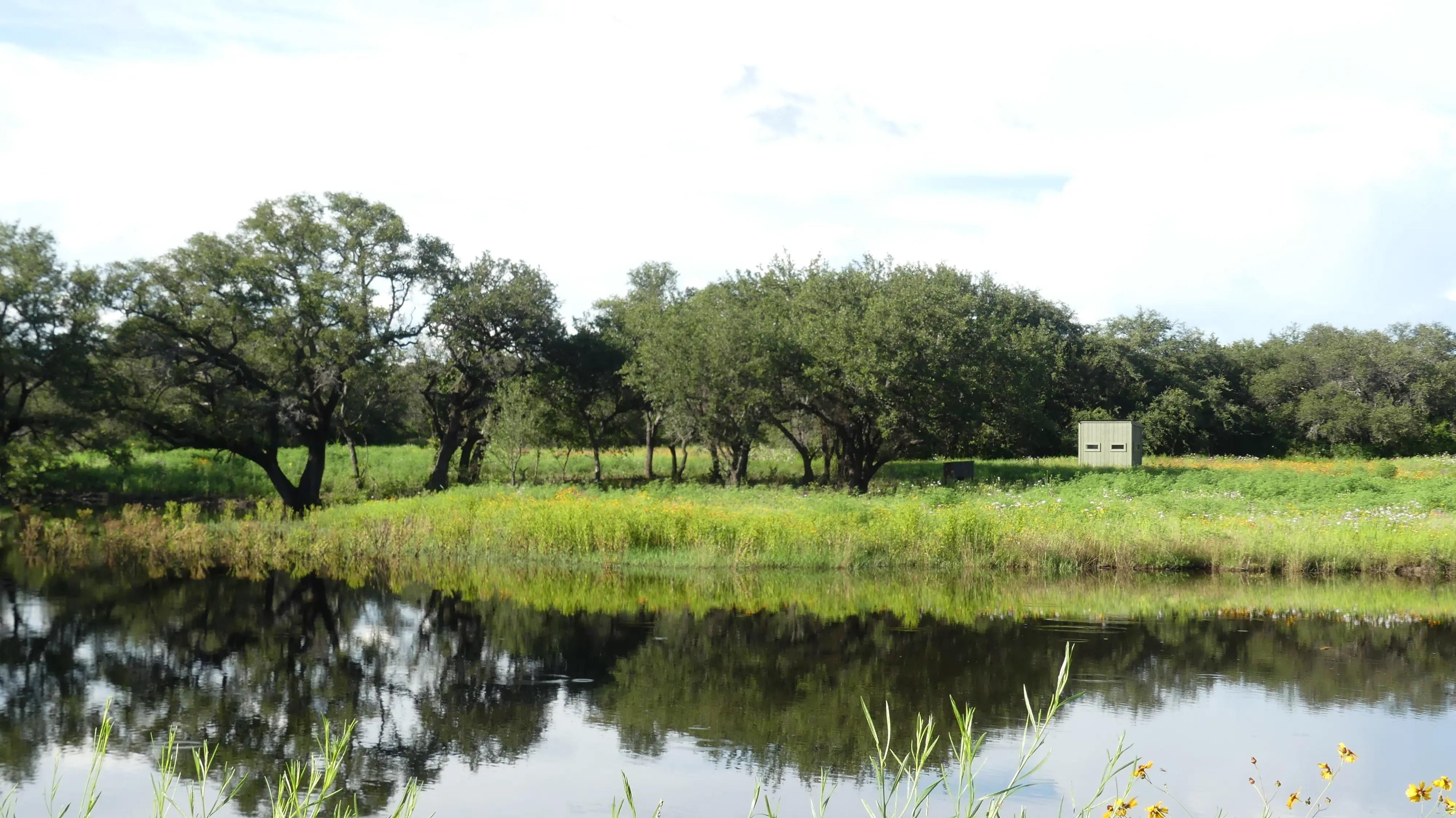 117 Acres, FM2559, Brownwood, TX 76801 Land and Farm