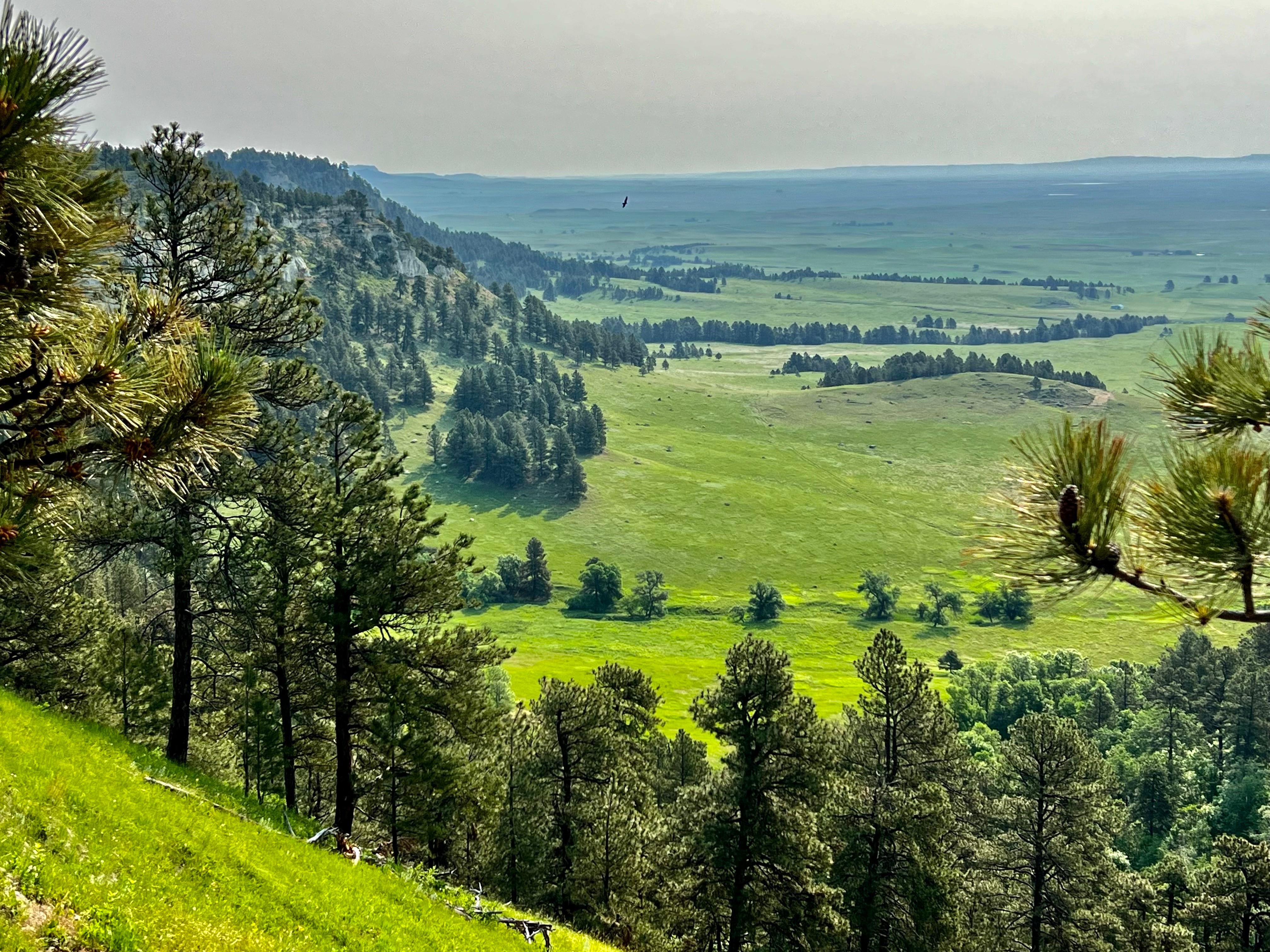 1721 Chalk Buttes Road, Ekalaka, MT 59324 Land and Farm