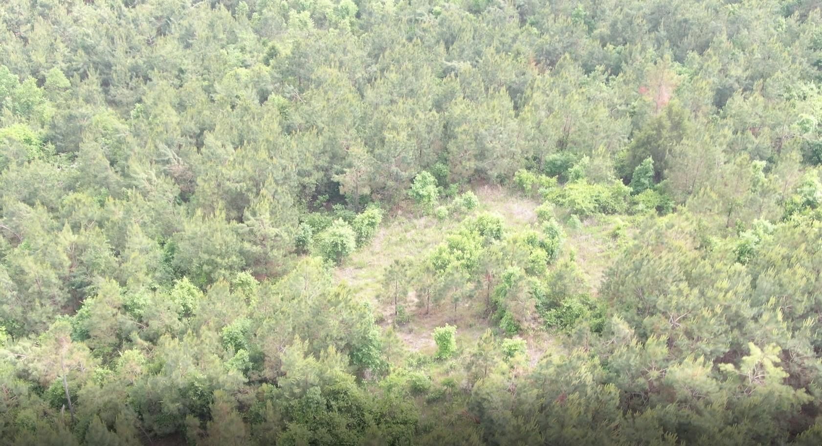 120 Acres, Dumas, MS 38625 Land and Farm