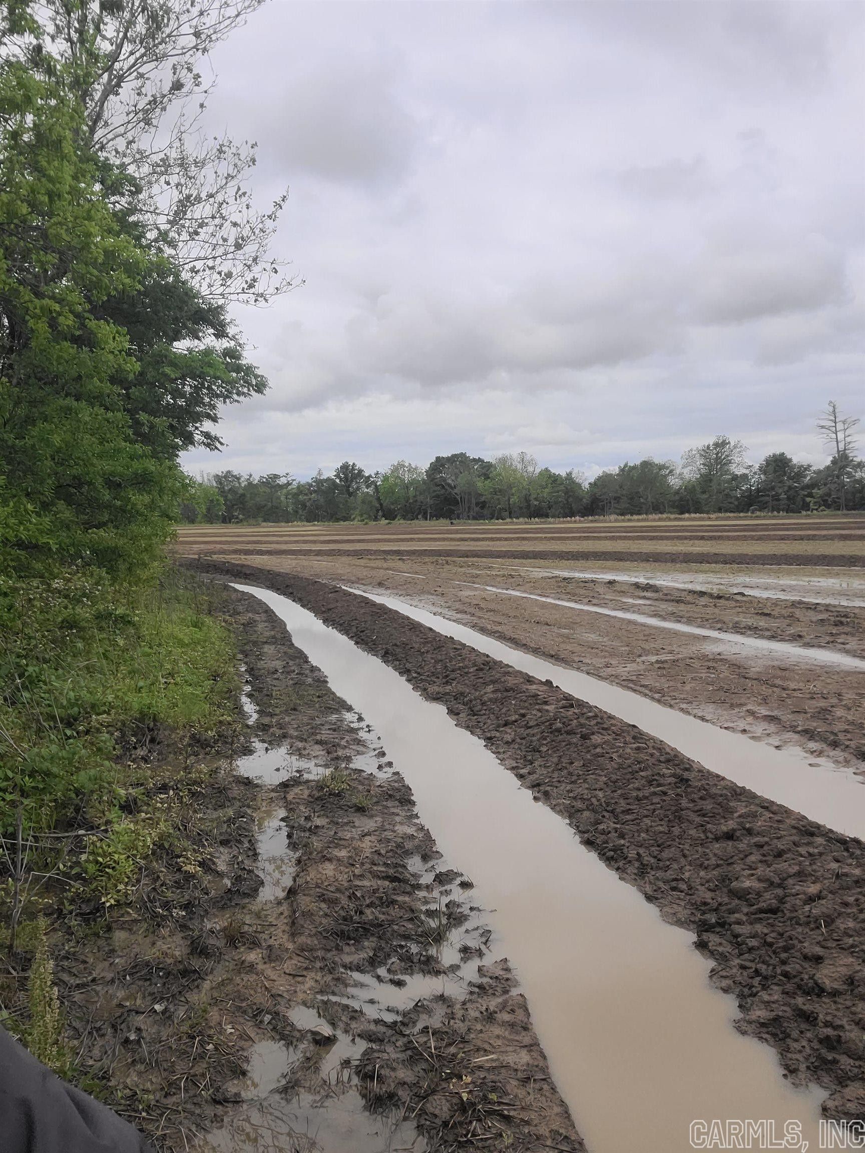 58 Acres, Des Arc, AR 72040 Land and Farm