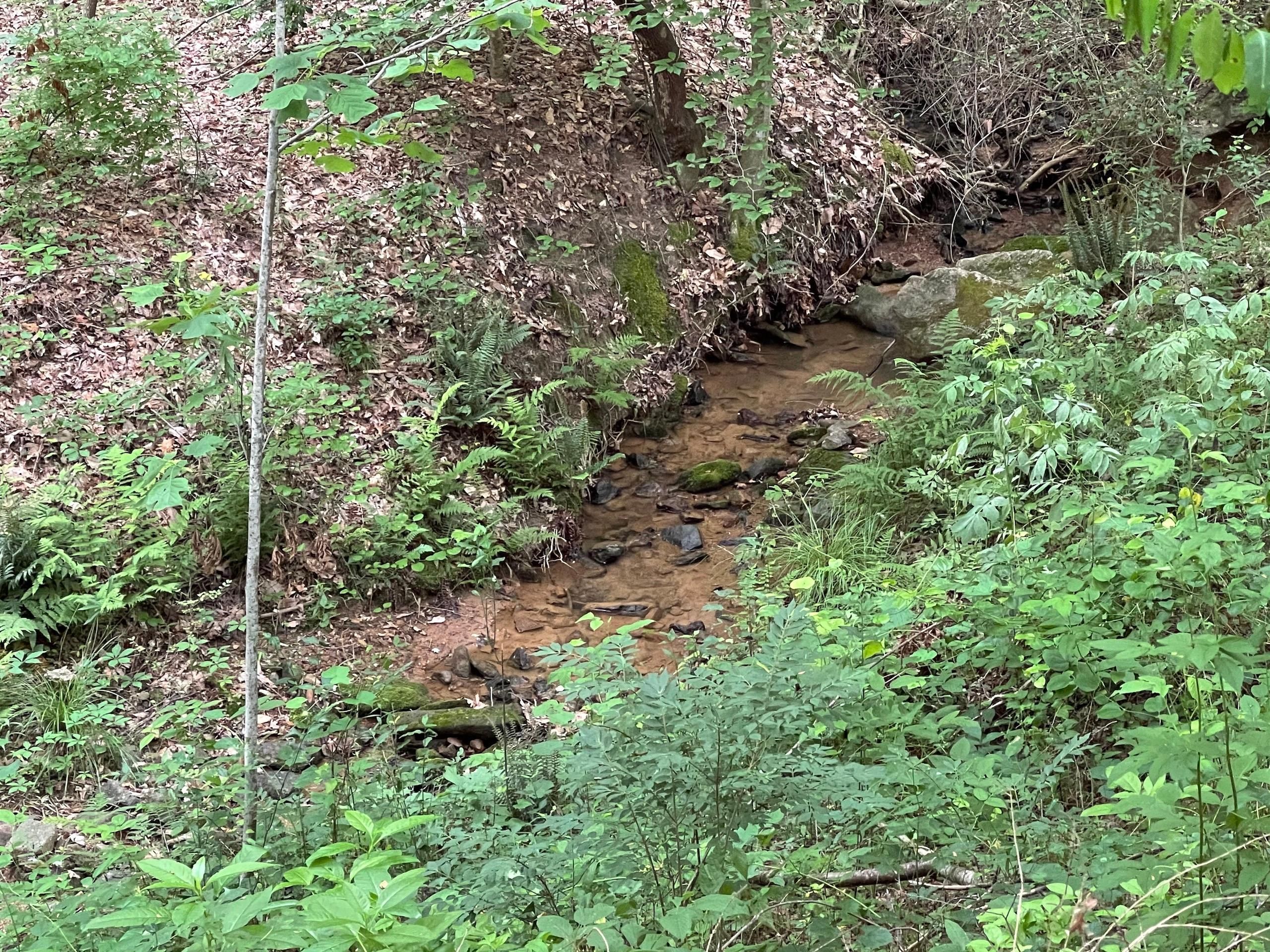 0.56 Acres, 109 Creekside Lane, Hildebran, NC 28637 Land and Farm