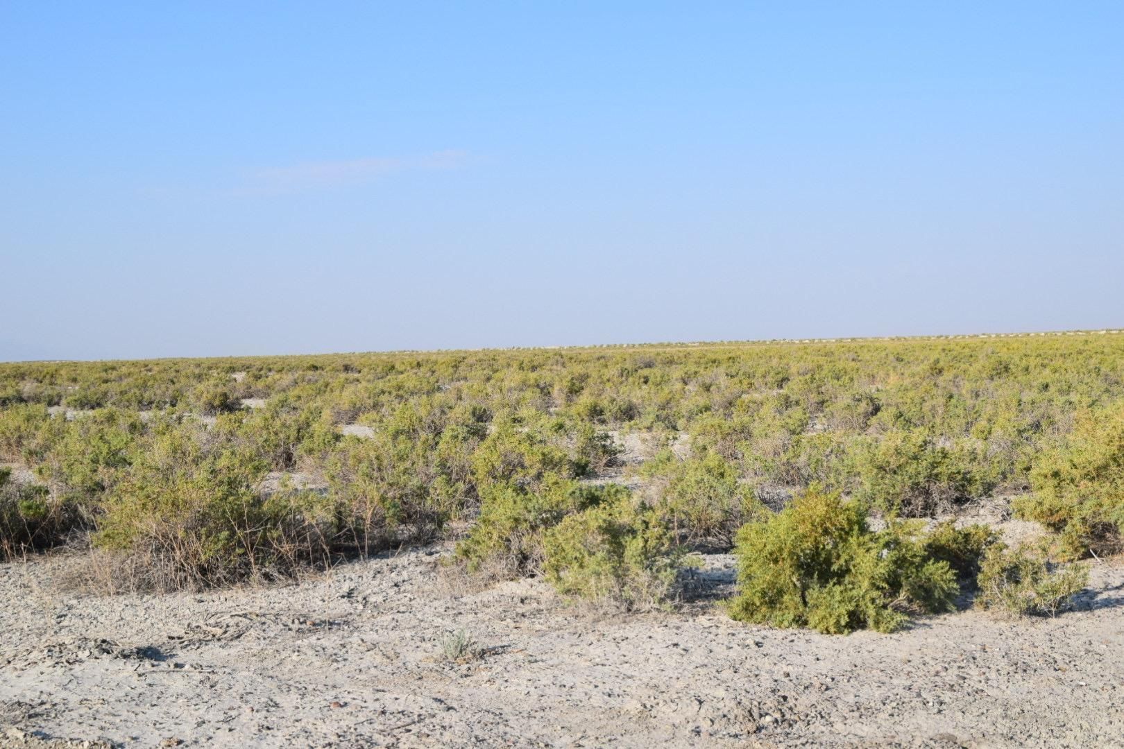 20 Acres, Highway 6 & 50, Lot WP001, Hinckley, UT 84635 Land and Farm