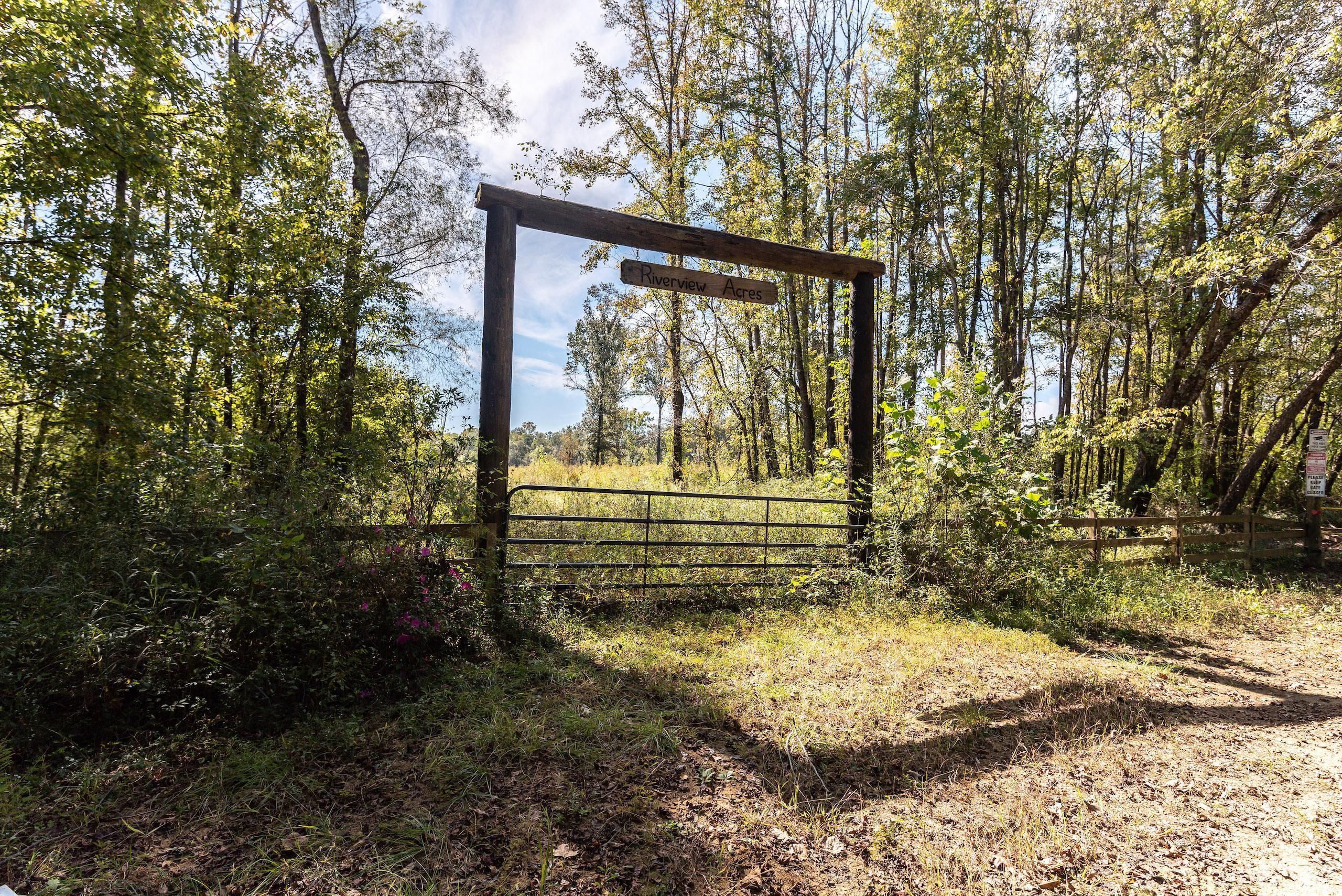 40 Acres, 00 Riverview Beach Rd. Lot WP001, Moundville, AL 35474