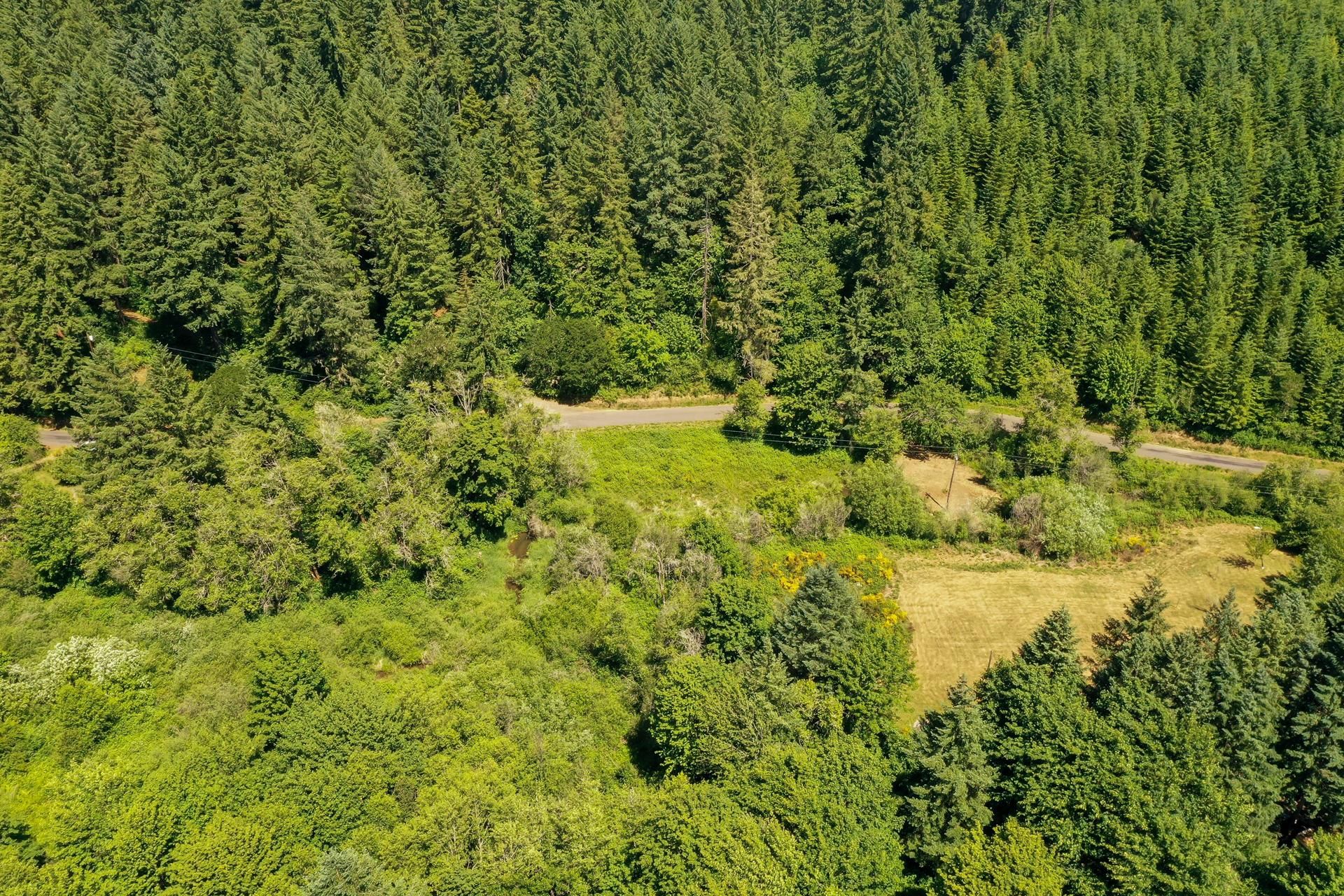 0 HIGH PASS RD, Junction City, OR 97448 Land and Farm