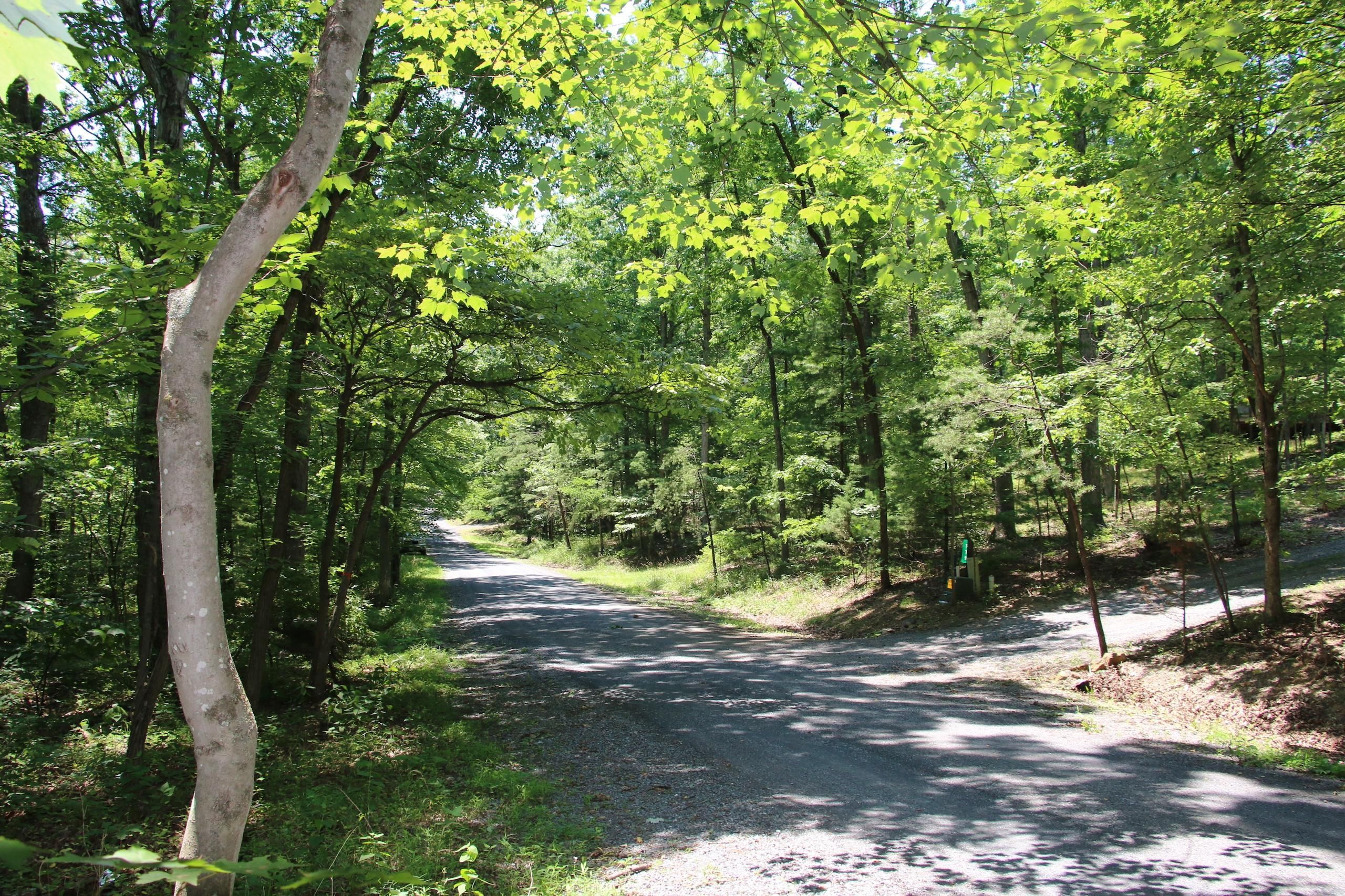 Patrick Lane Mount, LotWP001, Mount Jackson, VA 22842 Land and Farm