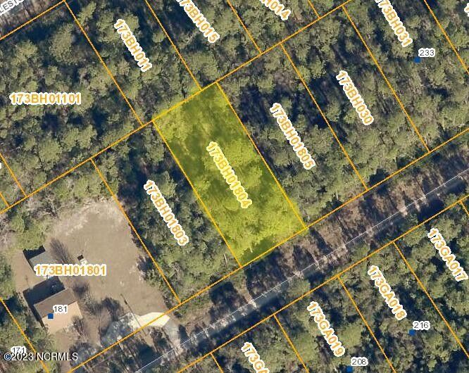 0.3 Acres, 209 Carolina Road, Boiling Spring Lakes, NC 28461 Land and