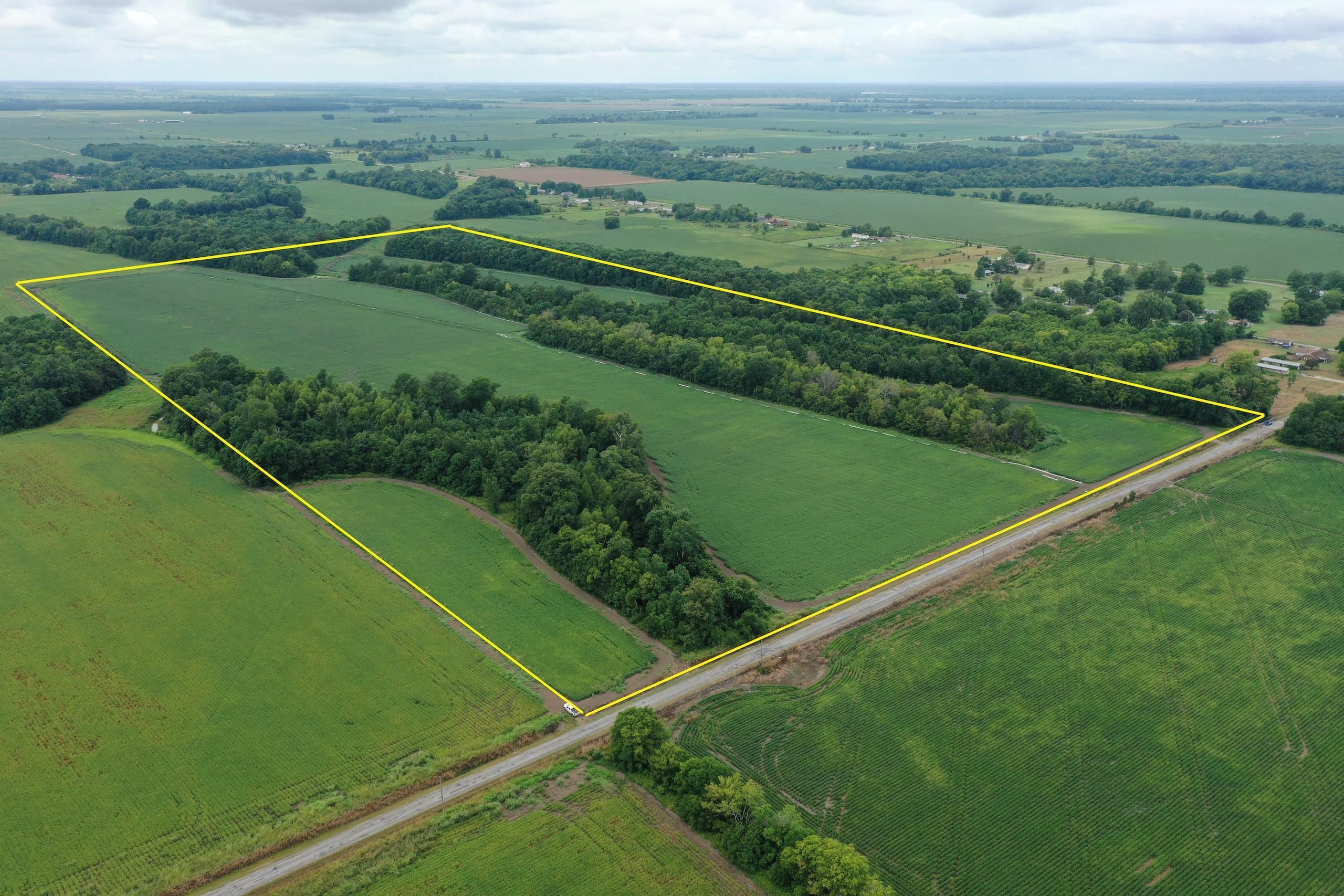 80 Acres, Sligo Dairy Road, LotWP001, Leland, MS 38756 Land and Farm