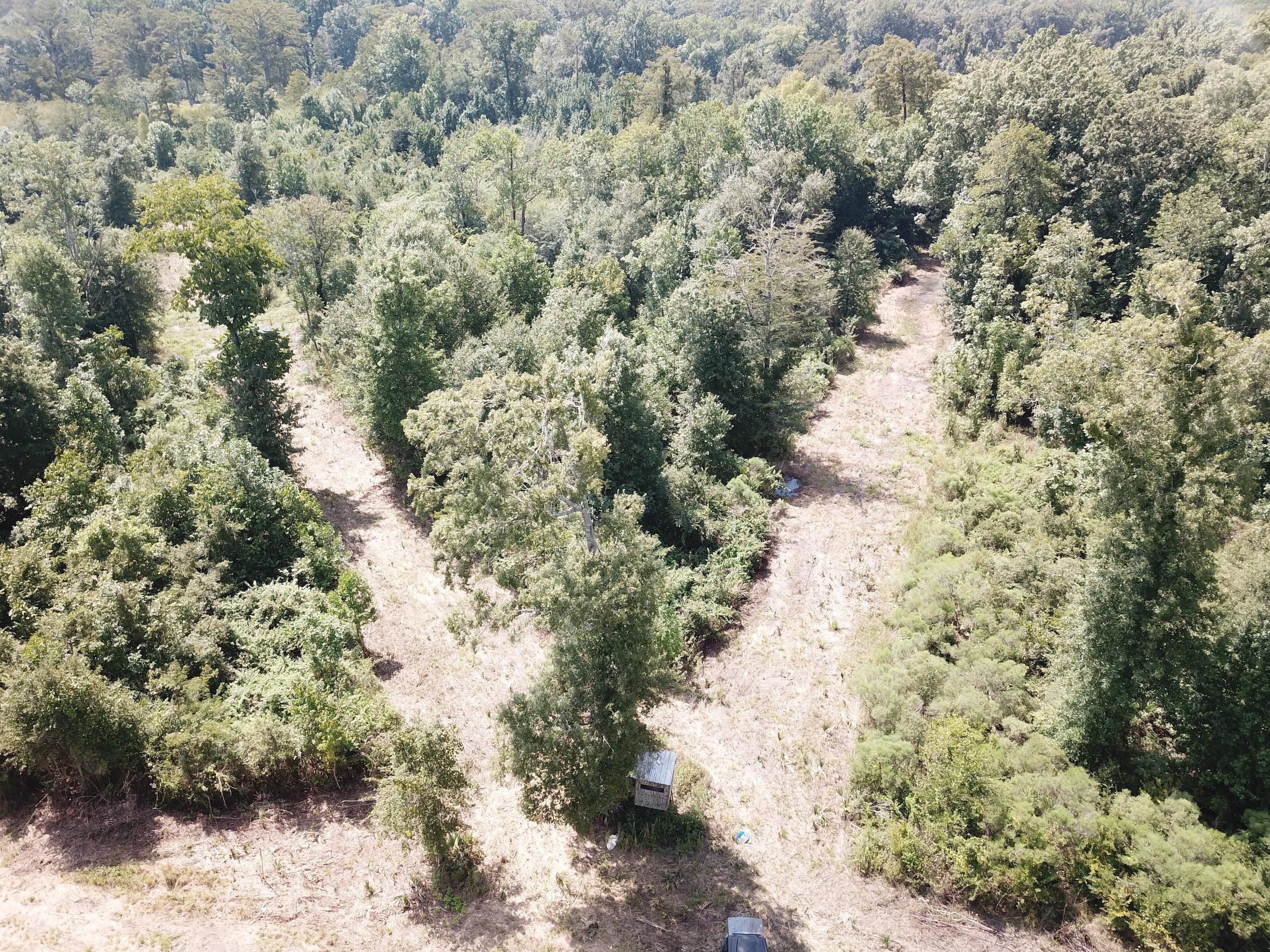 Sharky Road Lot Wp001, Tallulah, LA 71282 Land and Farm