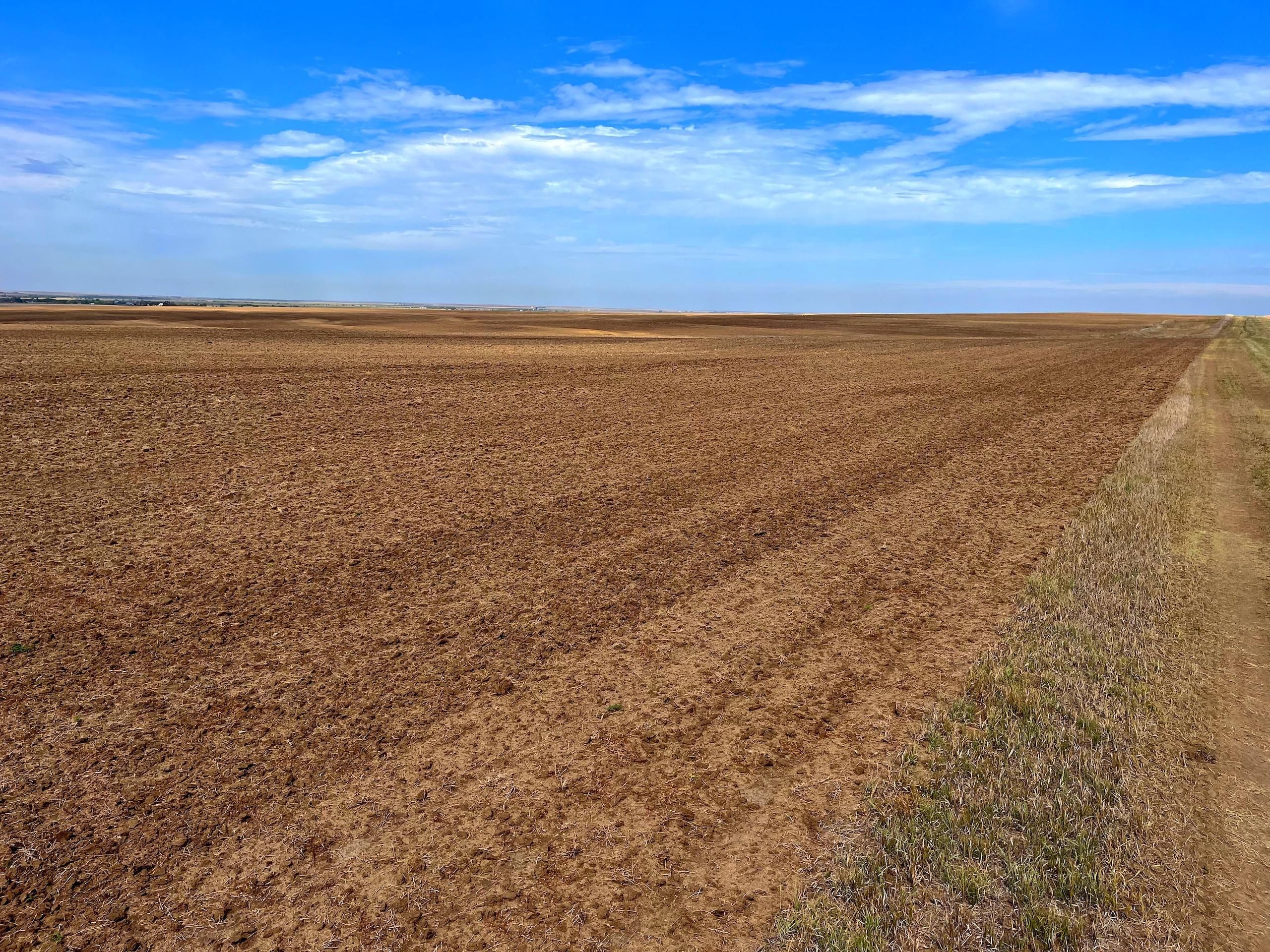160 Acres, County Road, LotWP001, Burdett, KS 67523 Land and Farm
