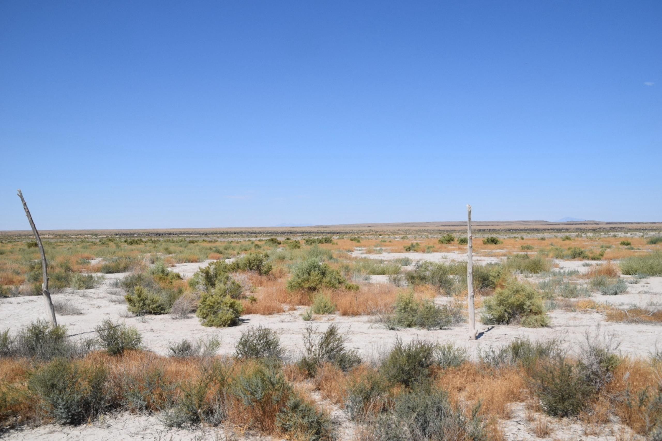 20 Acres, 7500 South Street, LotWP001, Delta, UT 84624 Land and Farm