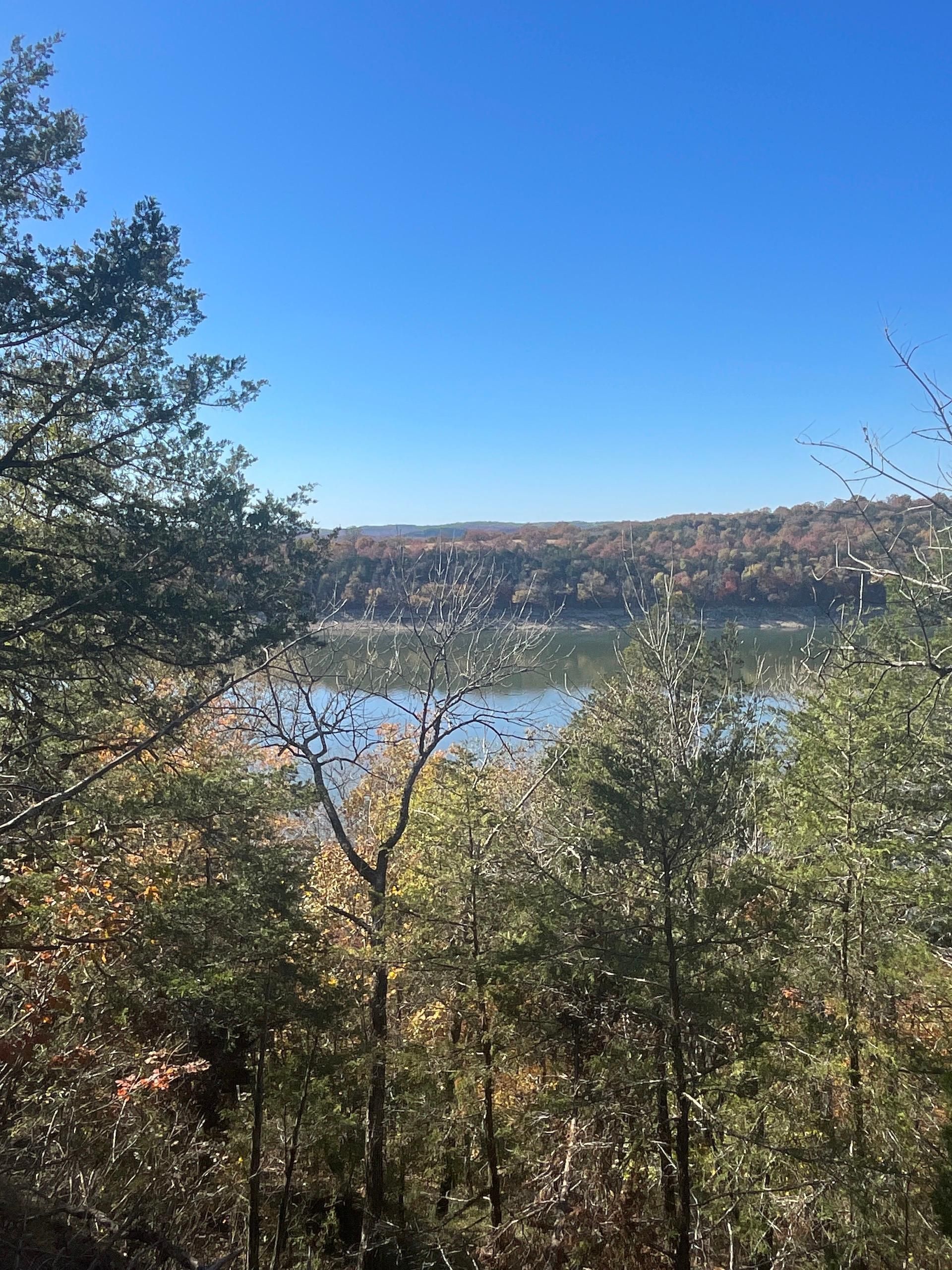 Mores Bend Road, Lot WP001, Cedar Creek, MO 65627 Land and Farm