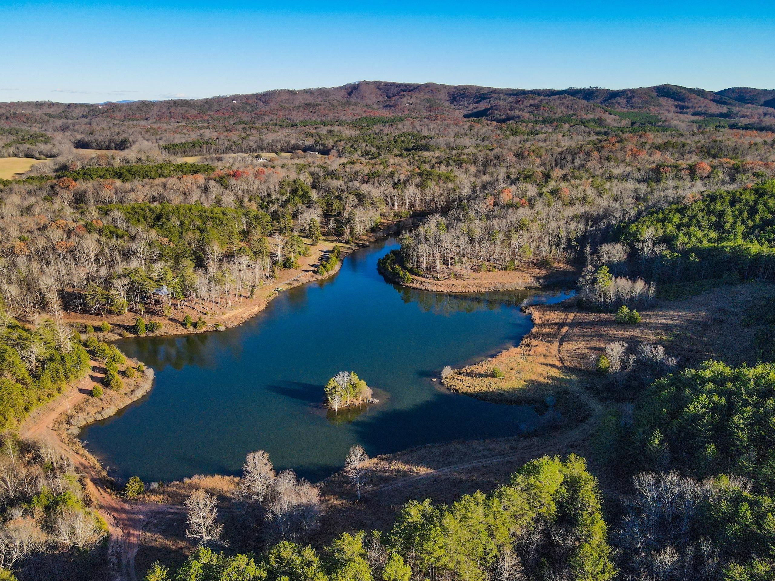 790 Acres, Us Hwy 411 North, LotWP001, Ranger, GA 30734 Land and Farm