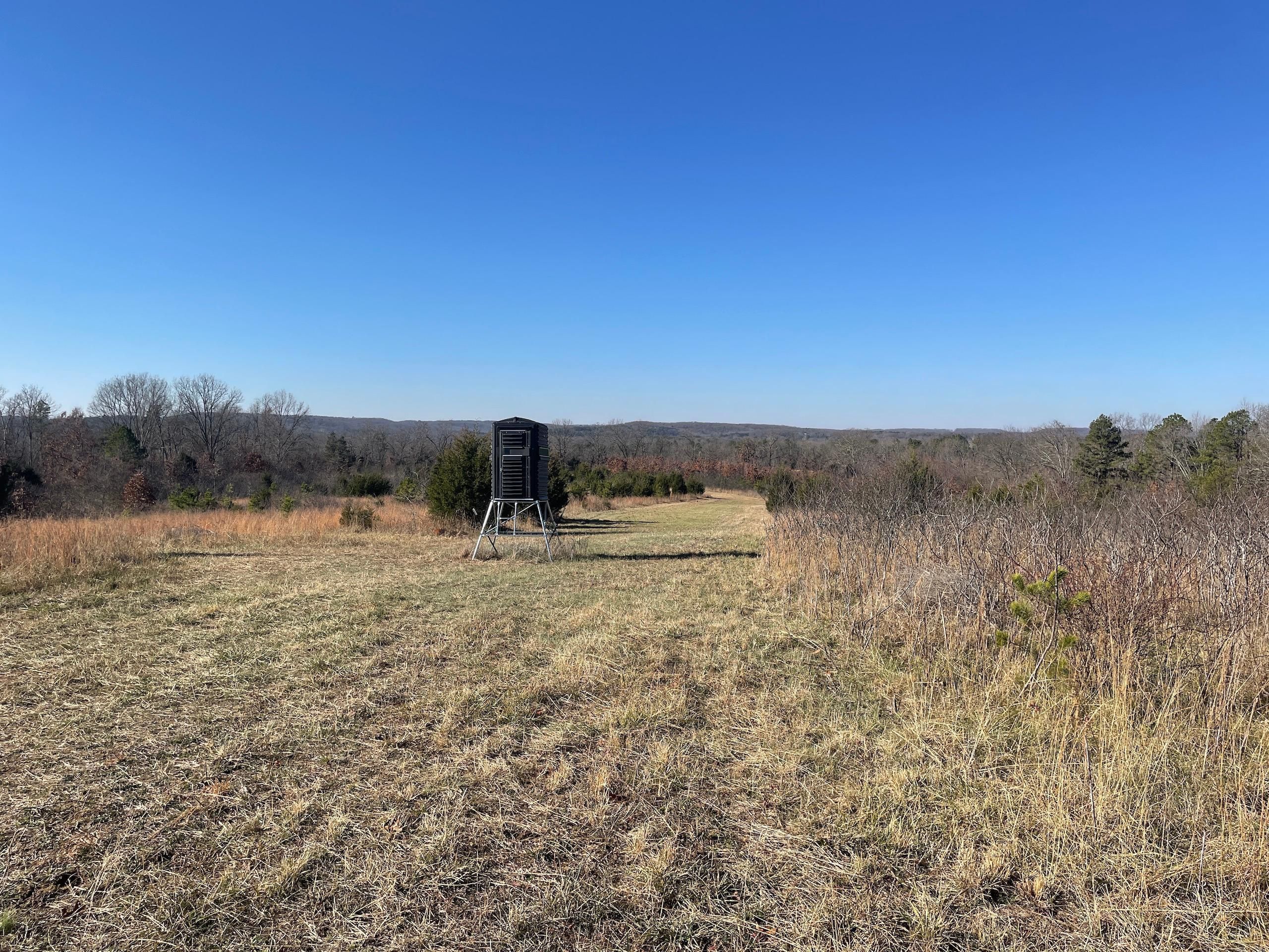 8801 County Road 235, Norwood, MO 65717 Land and Farm