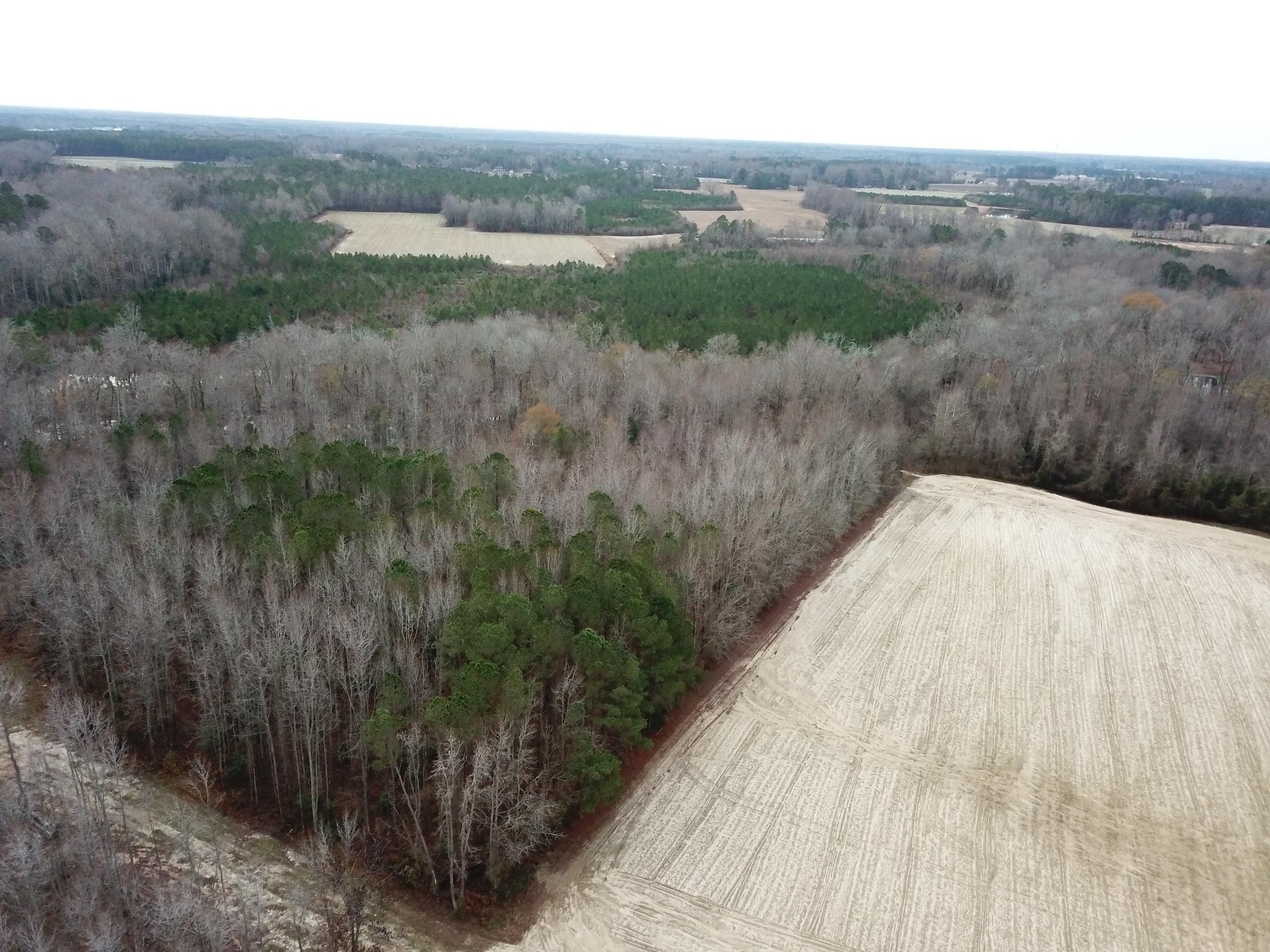 13.29 Acres, Off Old Bailey Highway, Lot WP001, Spring Hope, NC 27856