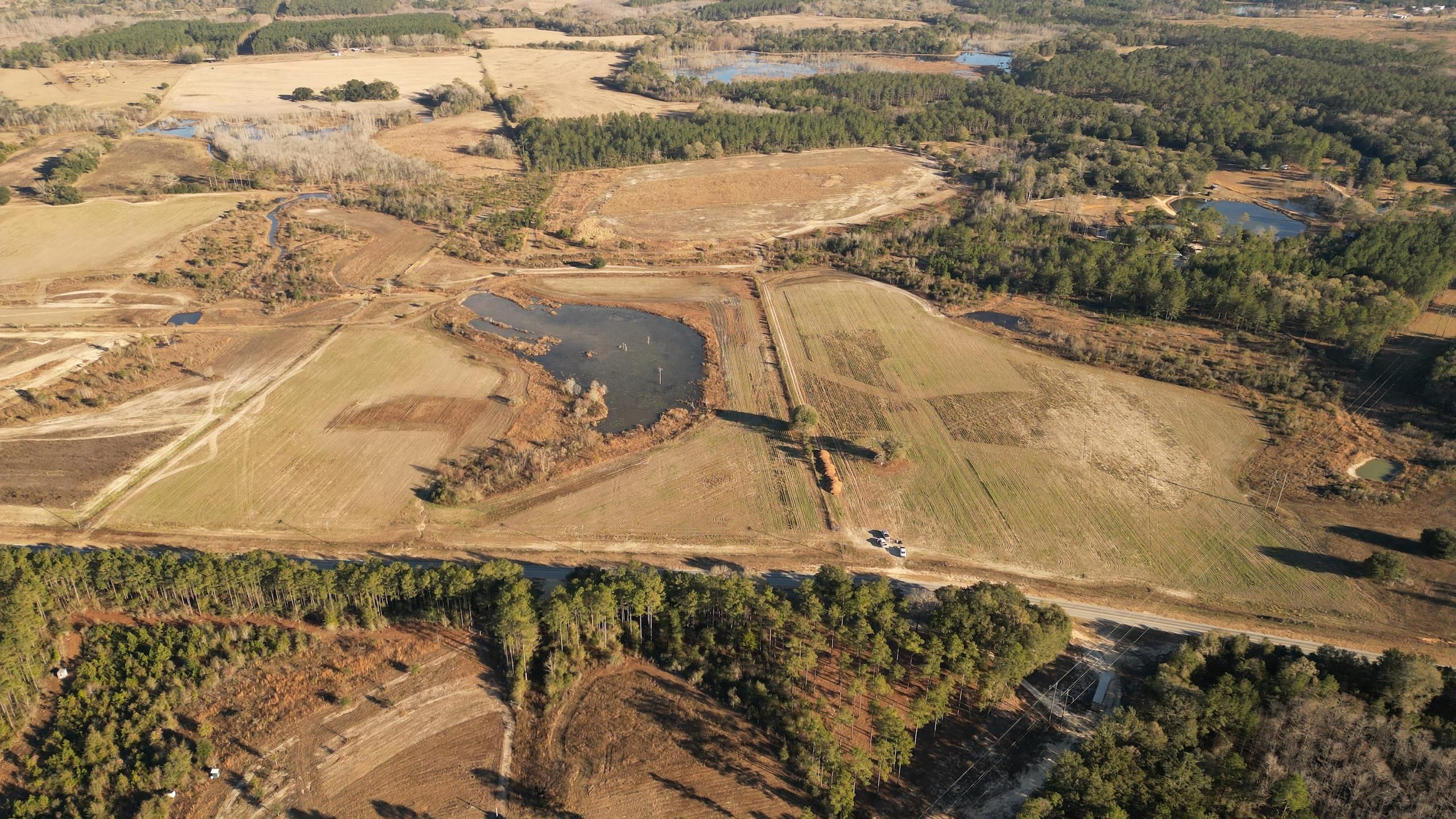 91 Acres, Alabama SR54, WPLot001, Florala, AL 36442 Land and Farm