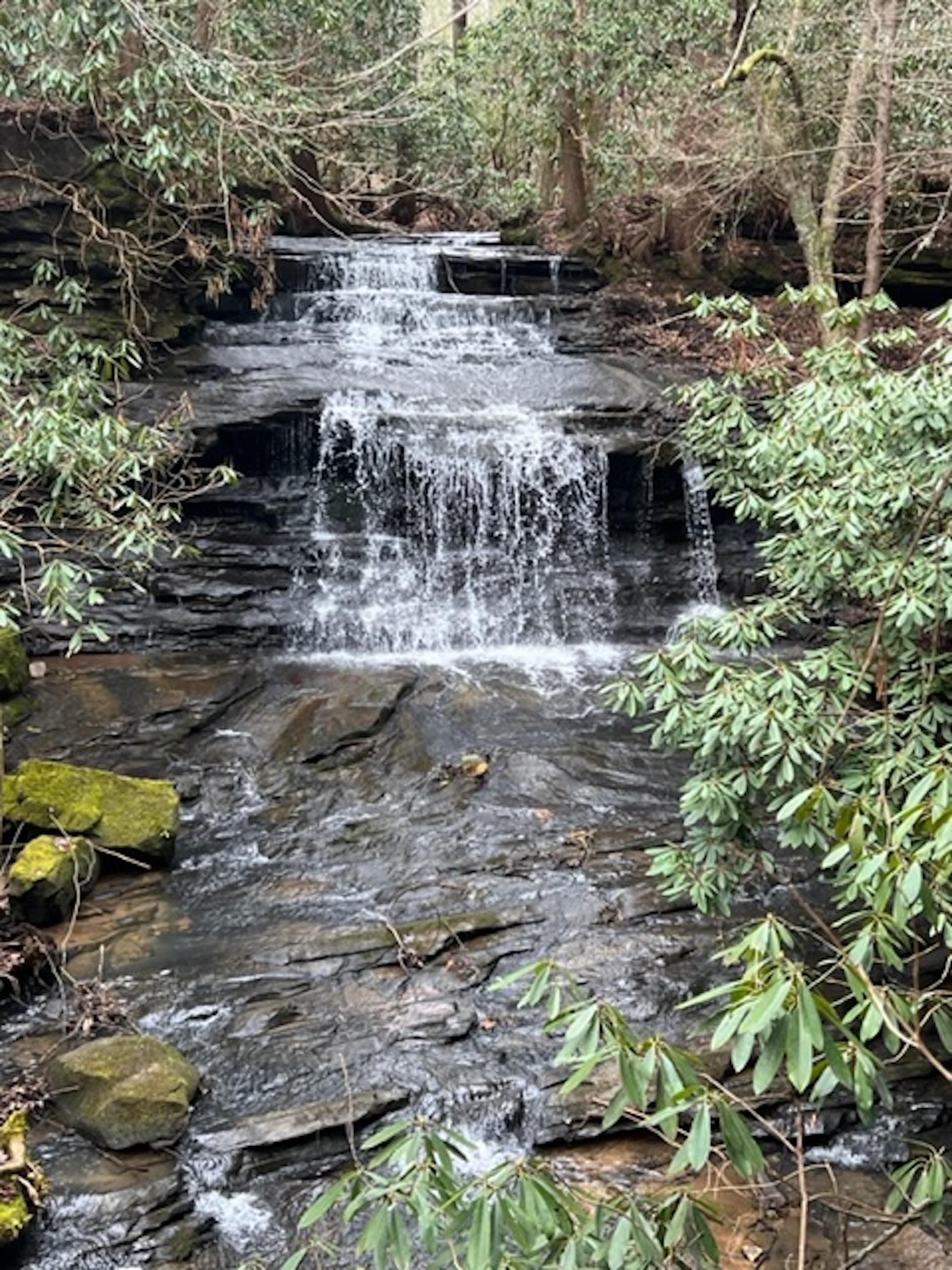 1424 Model Farm Rd, Jamestown, TN 38556 Land and Farm