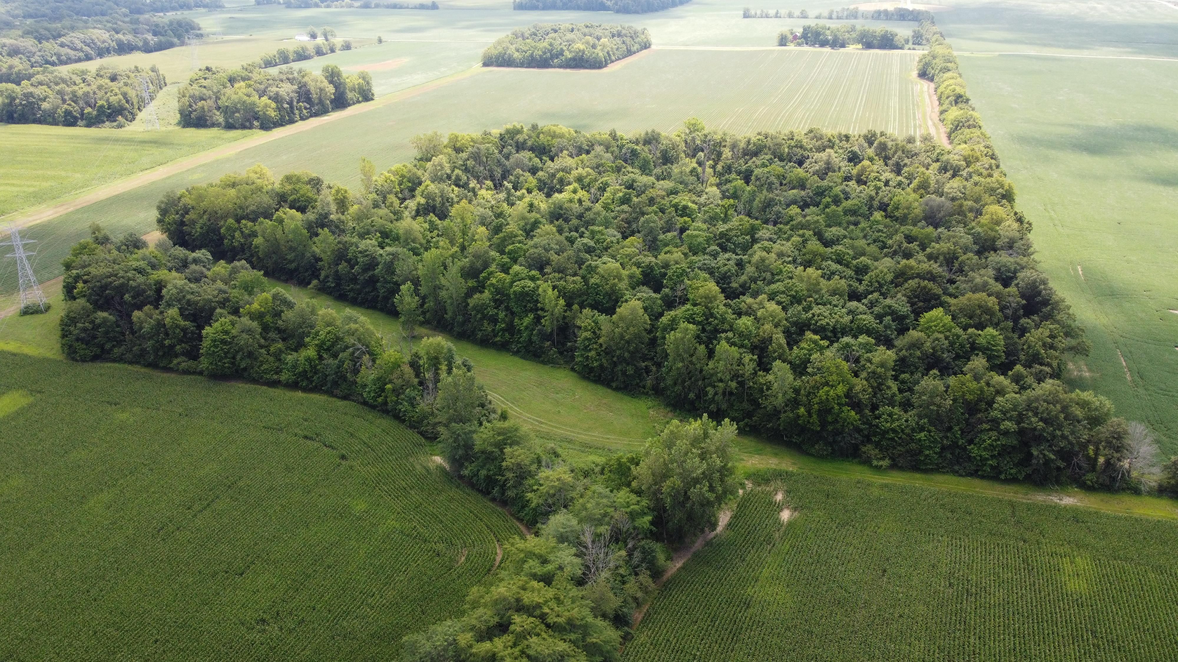 19.96 Acres, 10636 W 300 S, Parker City, IN 47368 Land and Farm