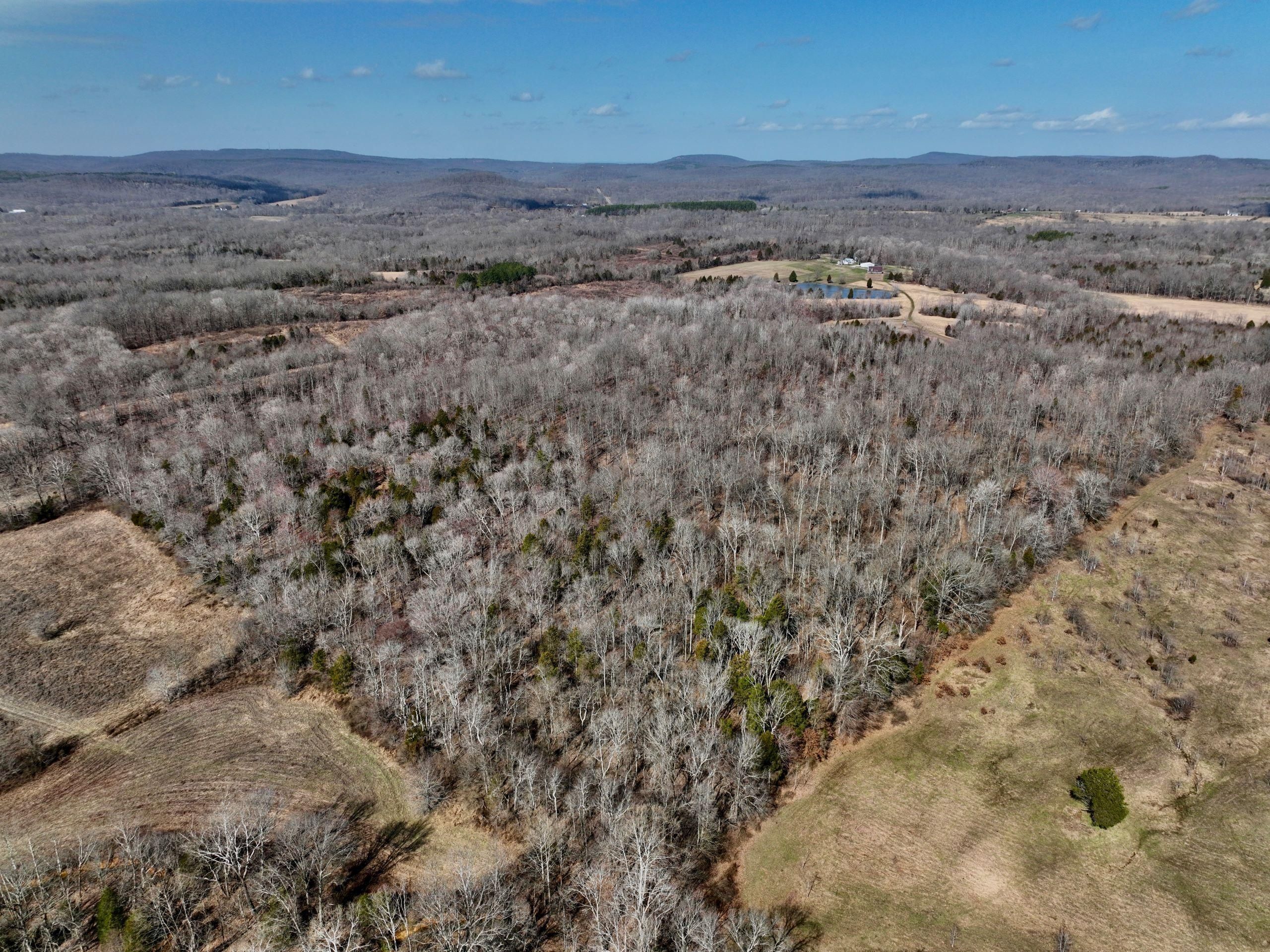 40 Acres, Moseley Road, Lot WP001, Elizabethtown, IL 62937 Land and Farm