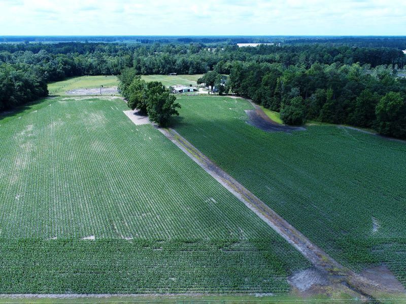 25 Acres, Pittman Rd, Lumberton, NC 28358 Land and Farm