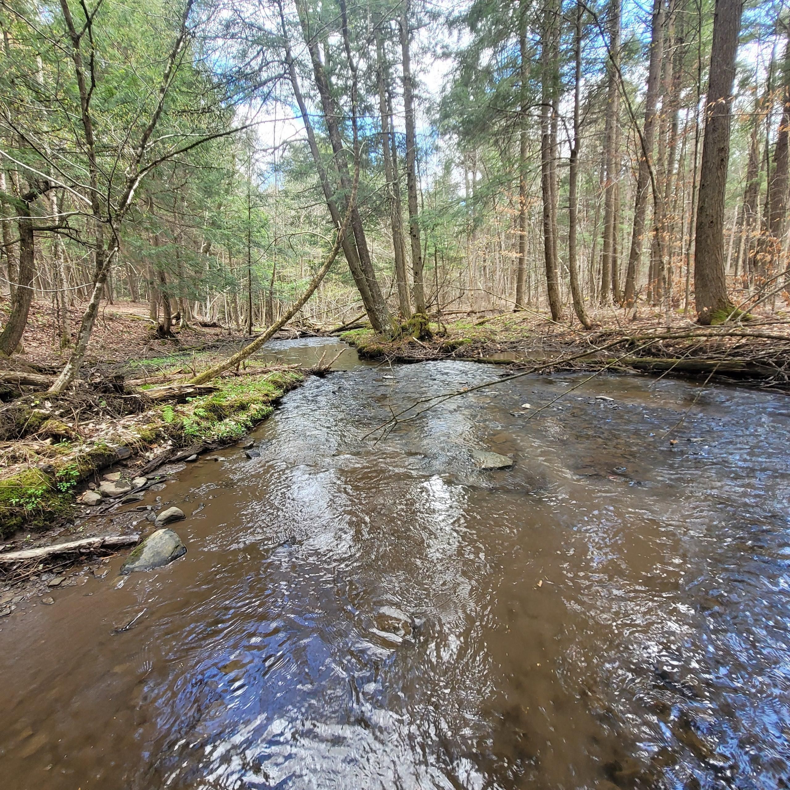 4484 St. Hwy 205, Oneonta, NY 13820 Land and Farm