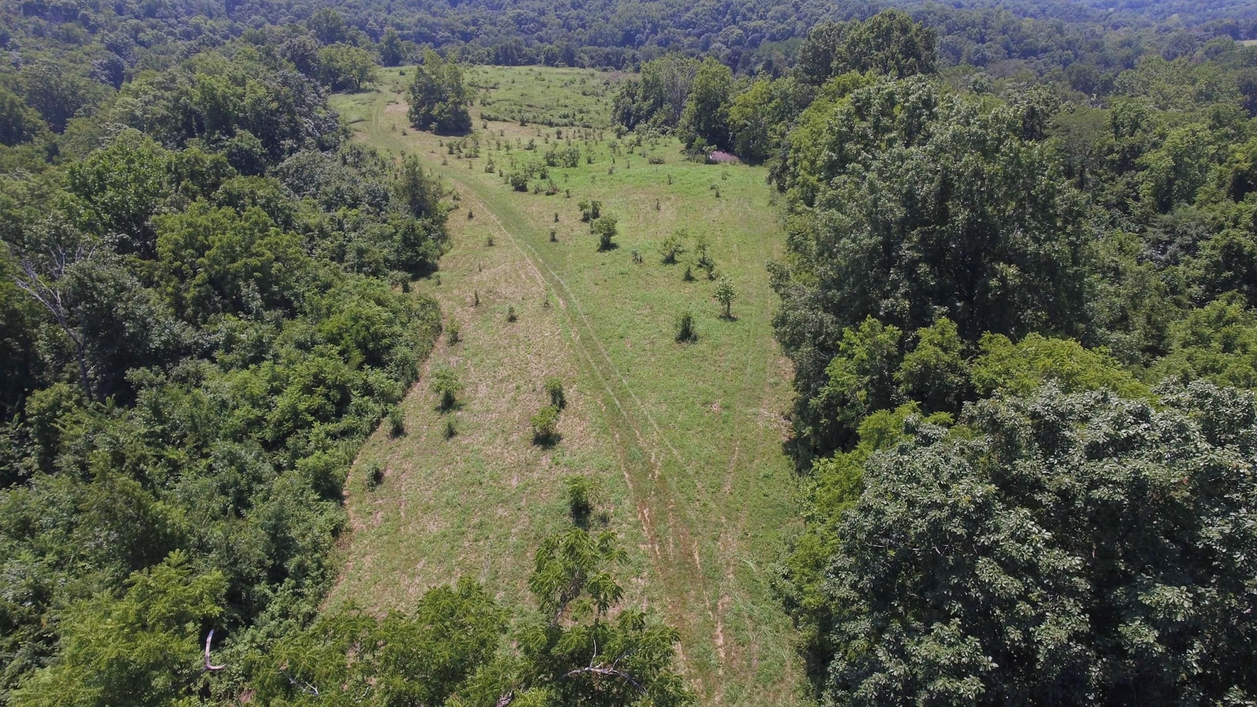 65 Acres, Snake Ridge Road, LotWP001, Sharpsburg, KY 40374 Land and Farm
