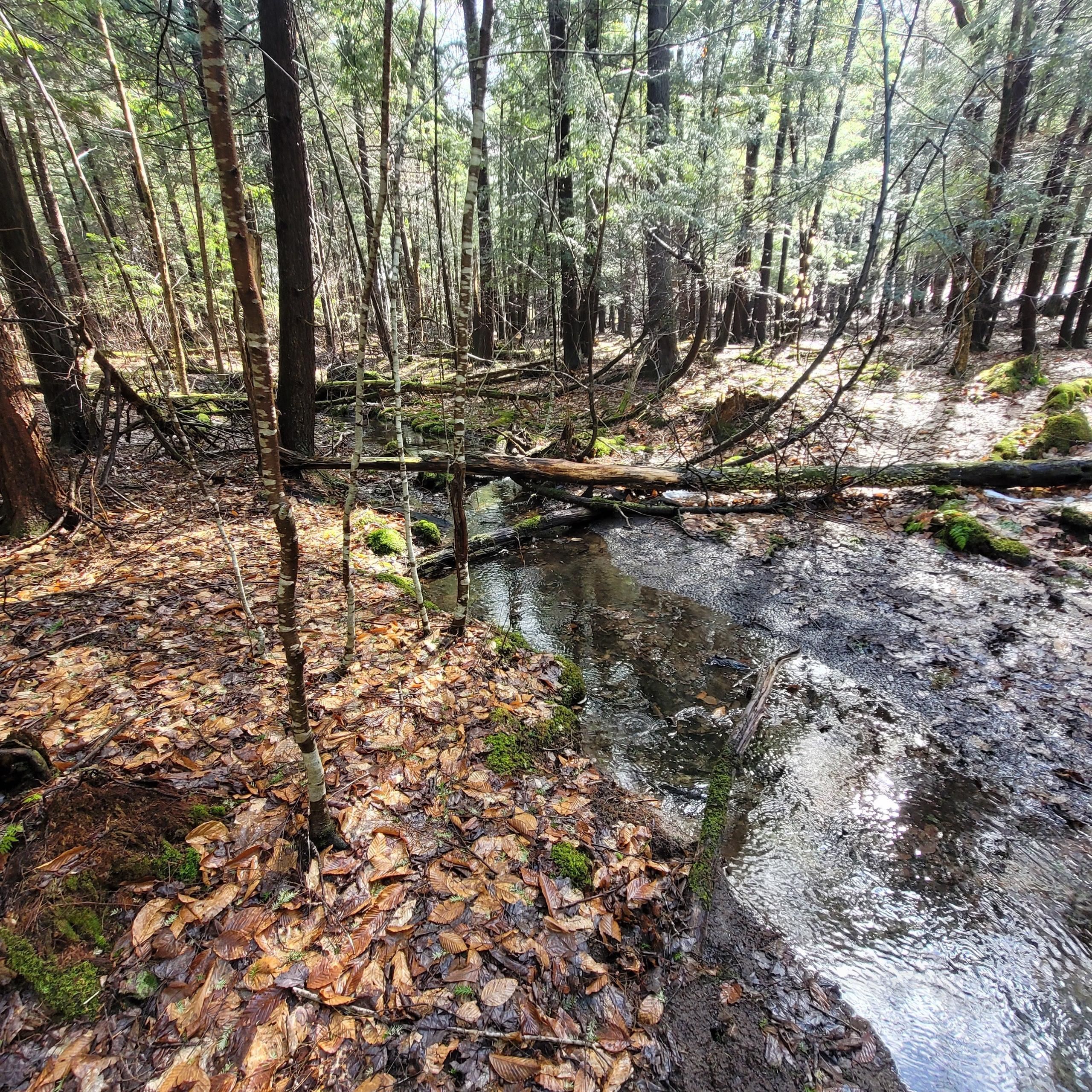 255 Seymour Hill, Coventry, NY 13787 Land and Farm