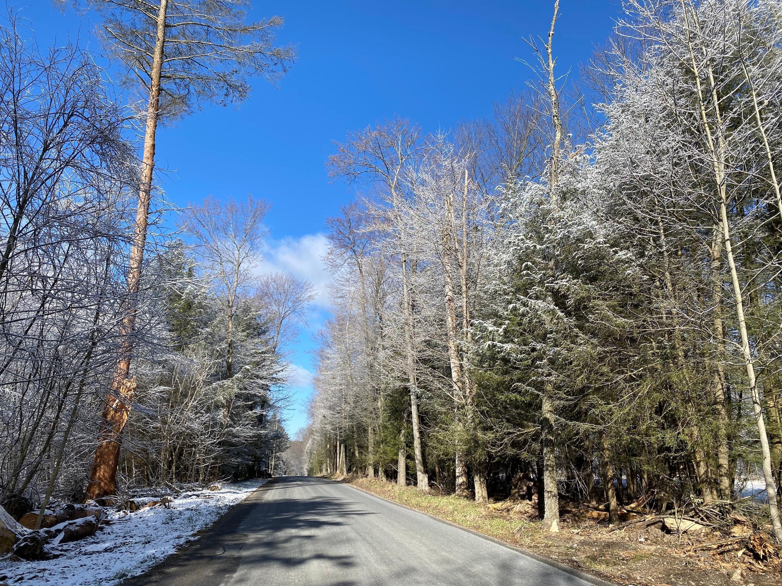 29.38 Acres, Byers Road, LotWP001, Mahaffey, PA 15757 Land and Farm