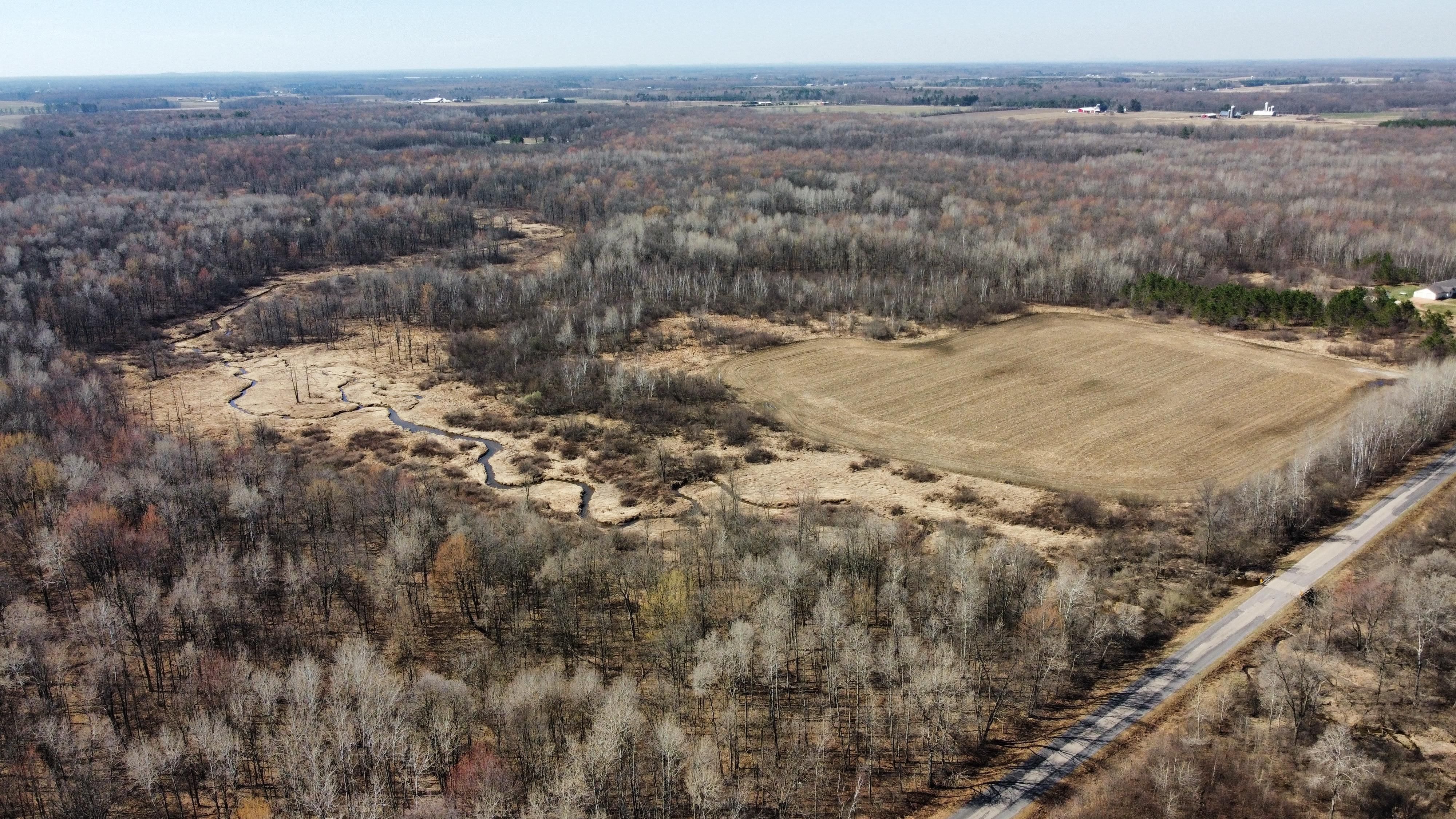 Richfield Wood Road, Arpin, WI 54410 Land and Farm