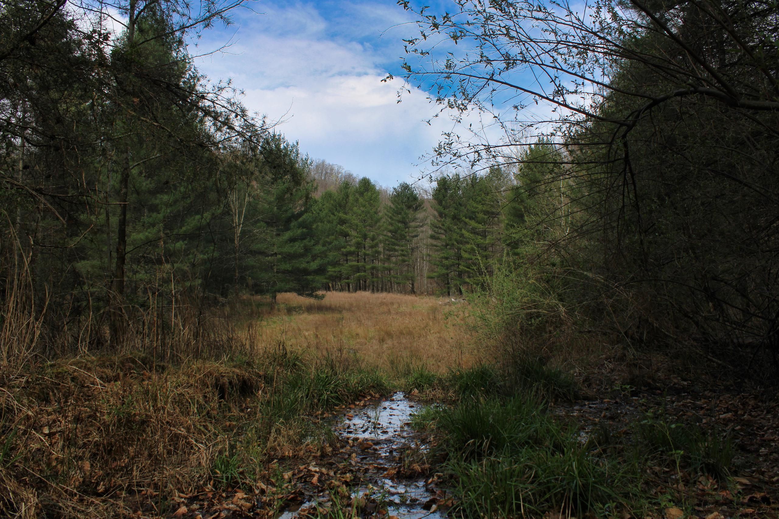 Perkins Madden Road Lot Wp002, Hindman, KY 41822 Land and Farm