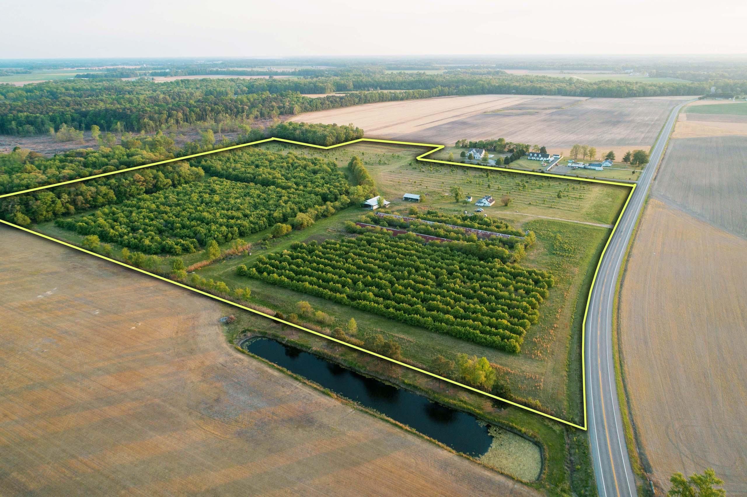 5879 Bethlehem, Preston, MD 21655 Land and Farm