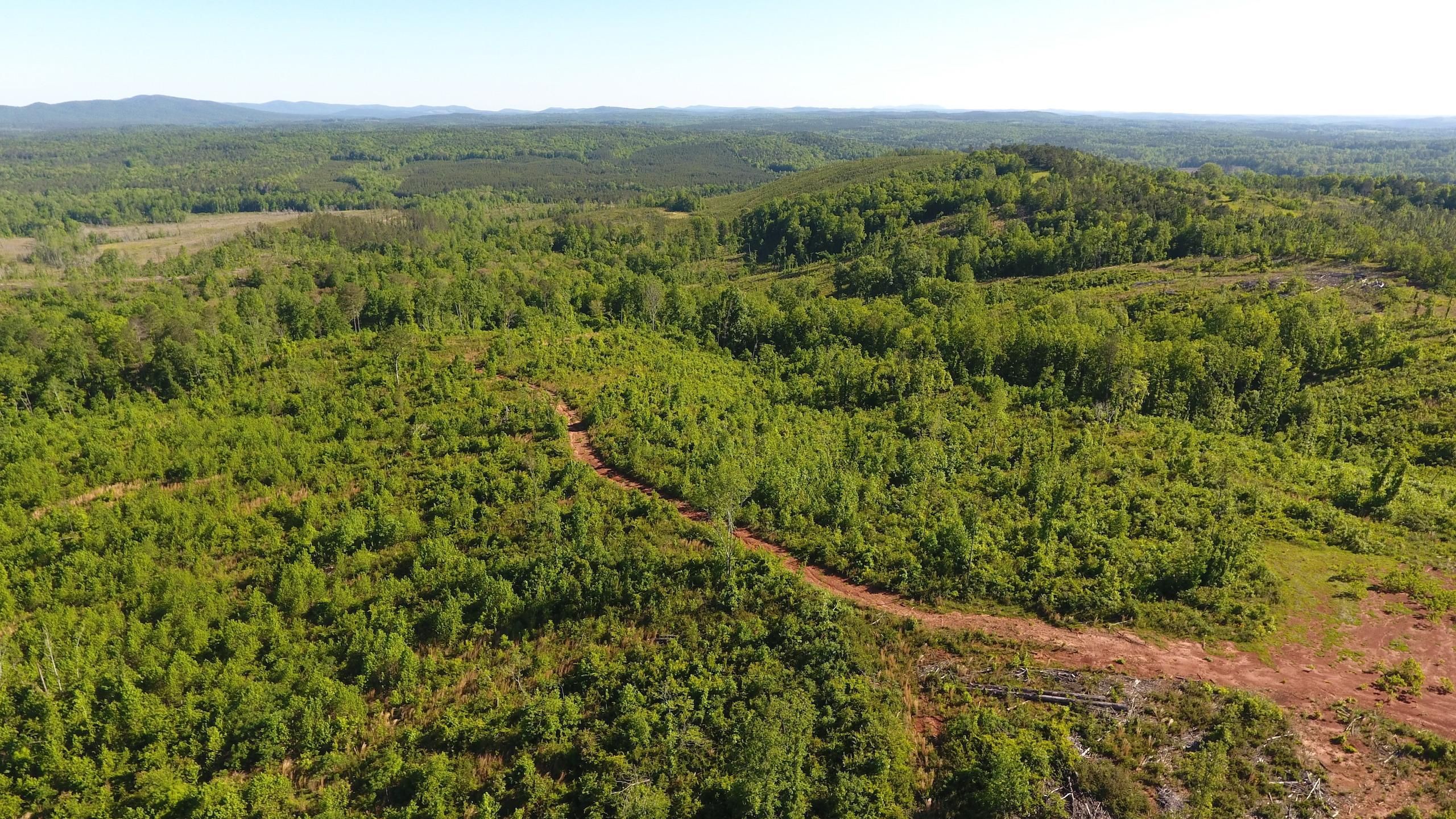 Highway 9, LotWP001, Goodwater, AL 35072 Land and Farm