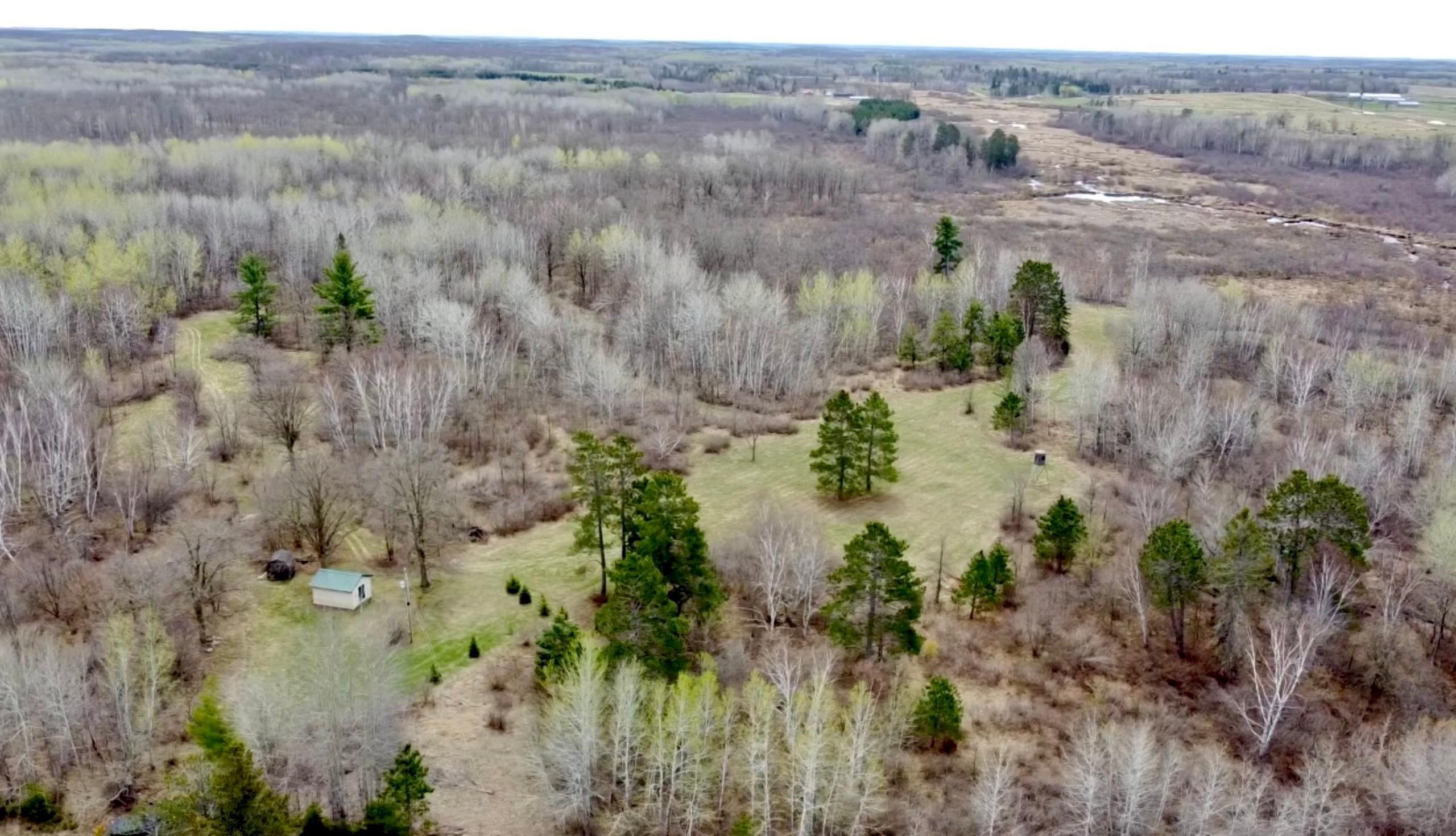 81.21 Acres, 88th Street SW, LotWP001, Motley, MN 56466 Land and Farm