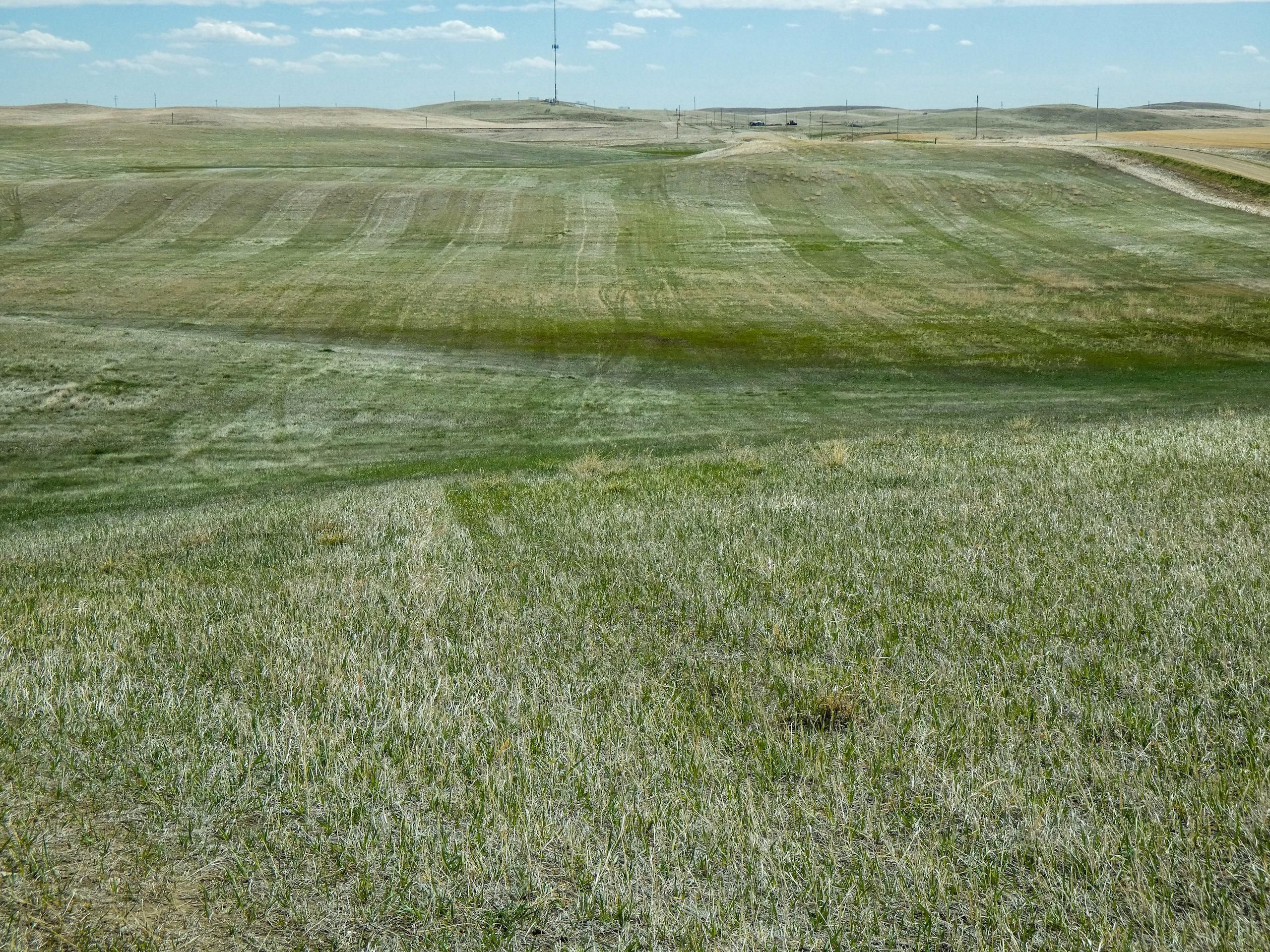 0000 N Westby Rd, Westby, MT 59275 MLS 339566 Land and Farm