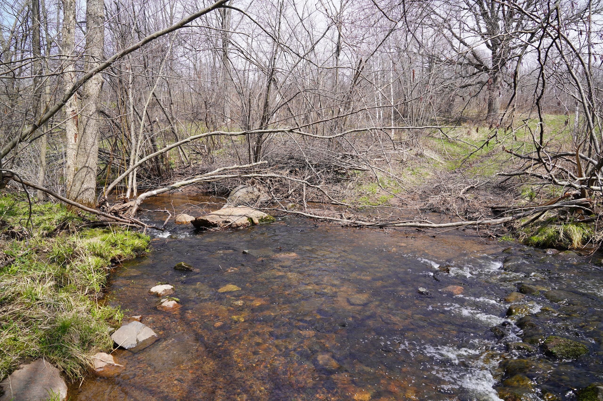 160 Acres, 0 320th Street, Boyd, WI 54726 Land and Farm