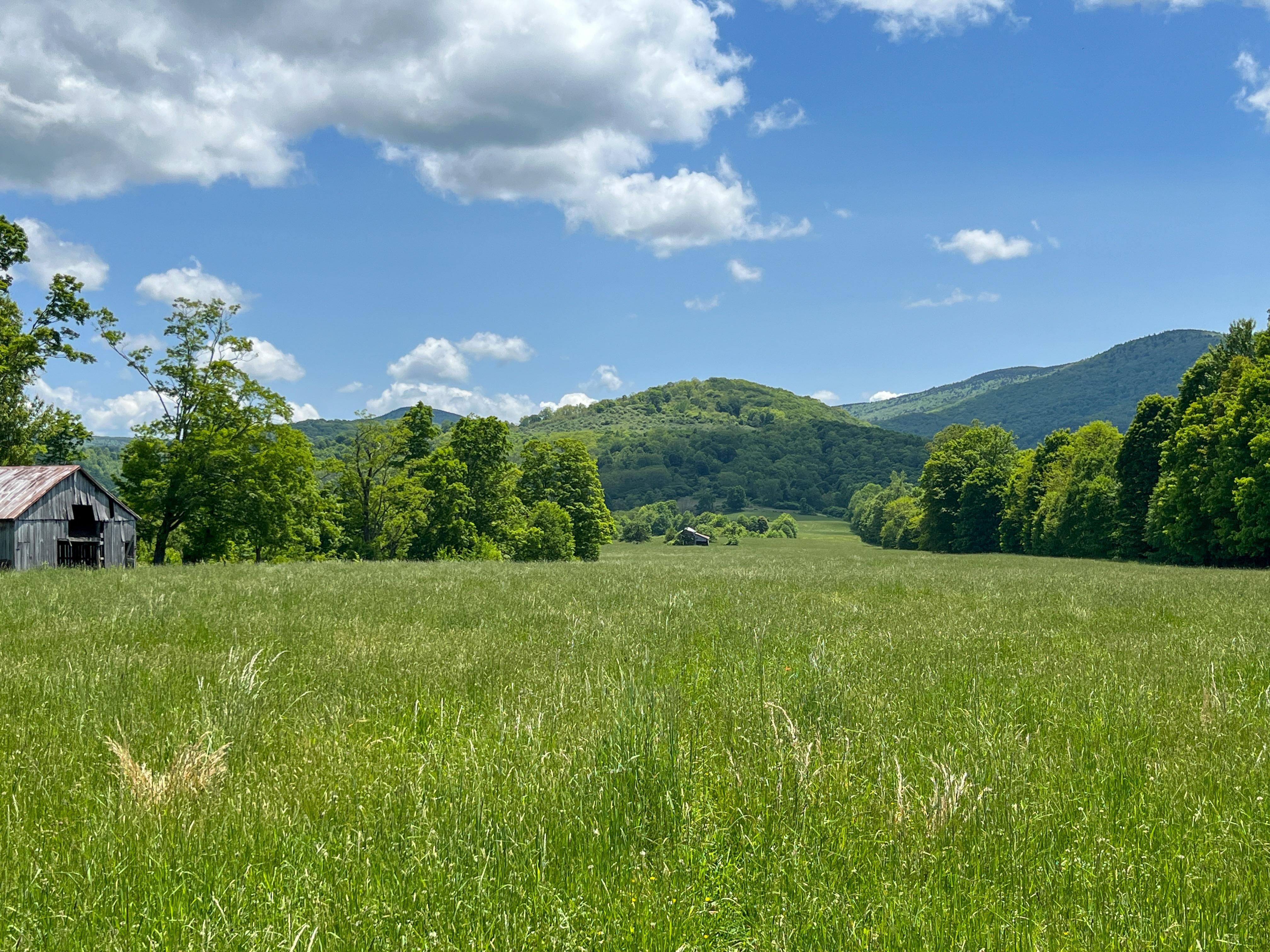 157.75 Acres, Big Run Road, Lot WP001, Valley Head, WV 26294 Land