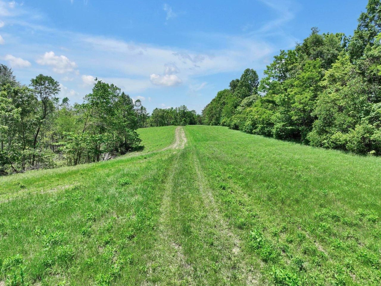 660 Rogues Fork Rd, Bethpage, TN 37022 MLS 2528129 Land and Farm