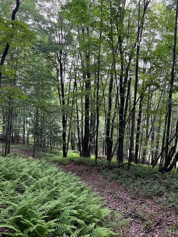 14.95 Acres, 0 County Hwy 21, Walton, NY 13856 Land and Farm