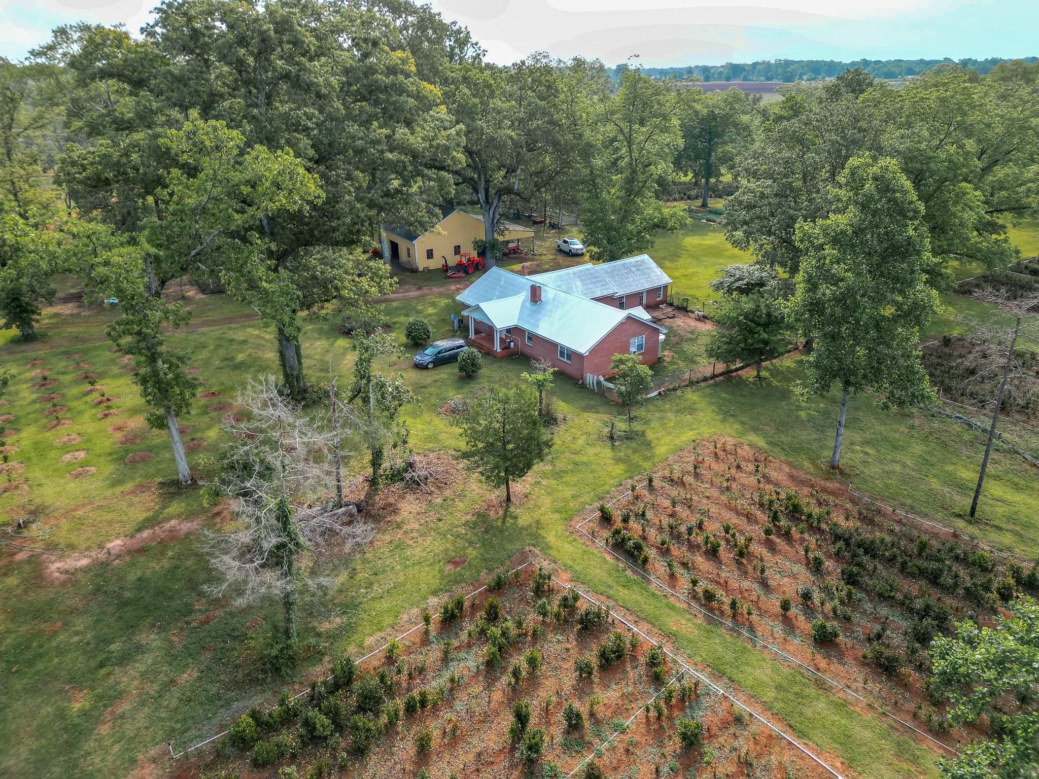 30 Acres, 20248 27, Richland, GA 31825 Land and Farm