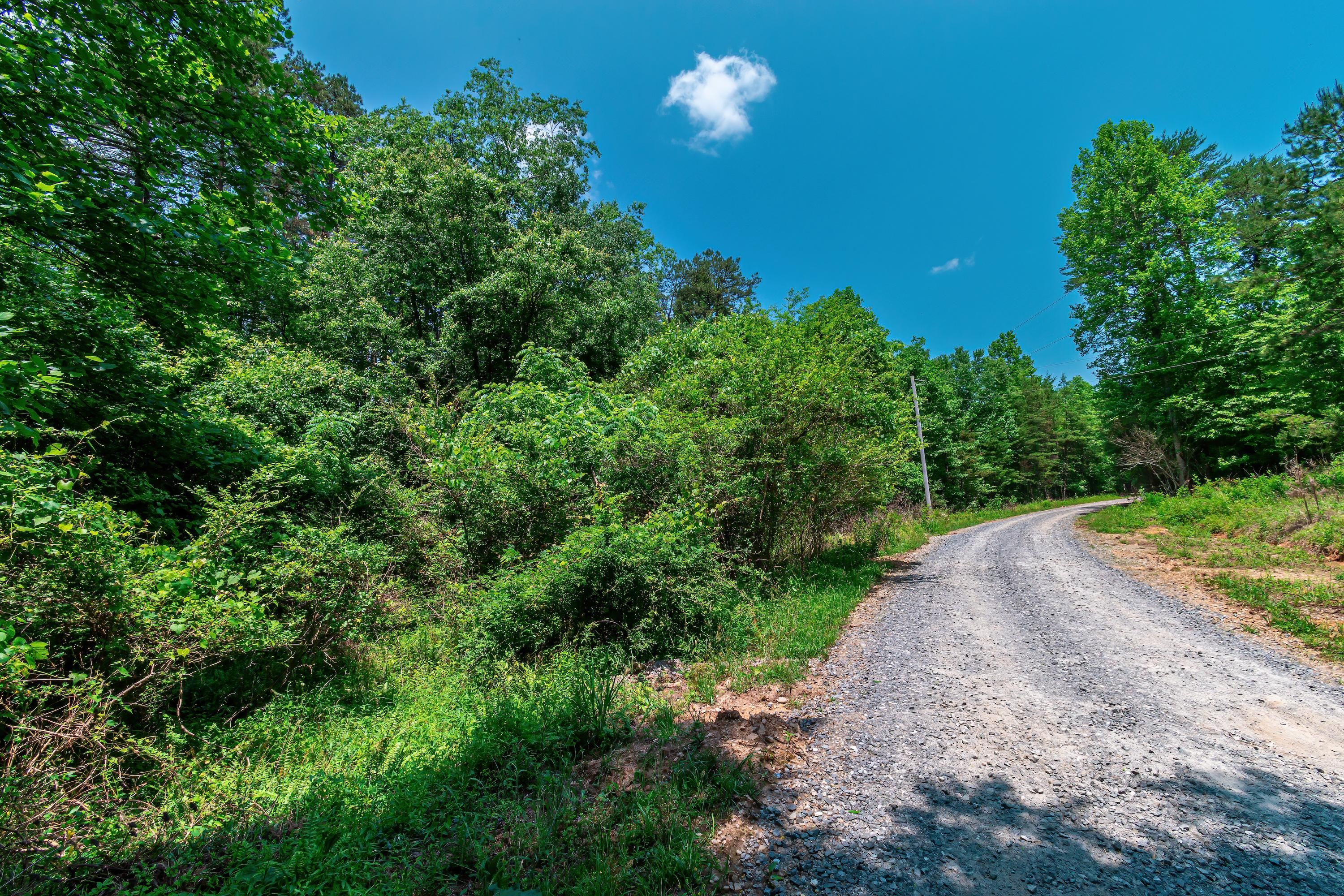 3.35 Acres, 3.35AC Pine Lane, Mineral Bluff, GA 30559 Land and Farm