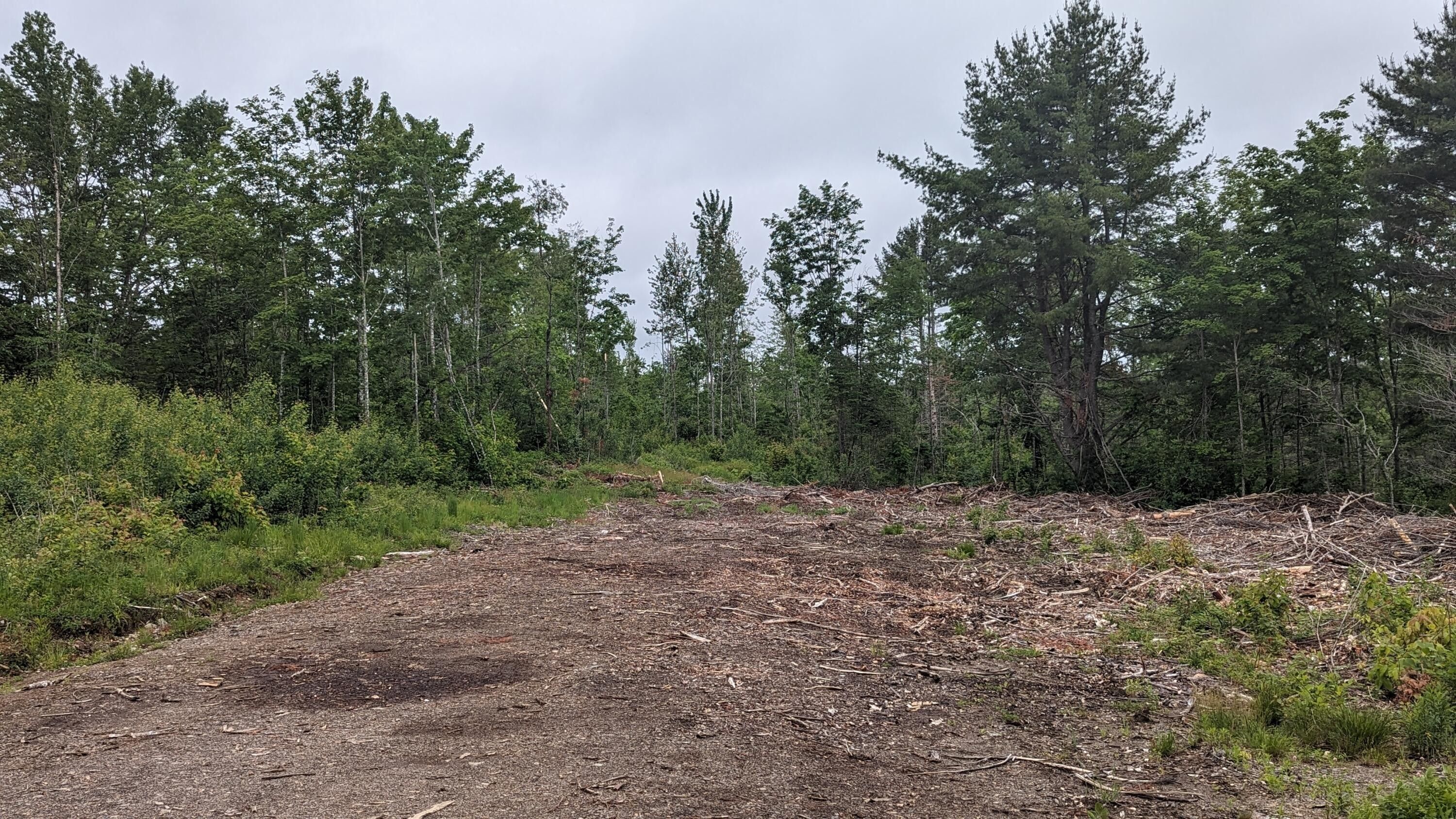 28.58 Acres, Lot 8an Hemore Road, Ludlow, ME 04730 Land and Farm