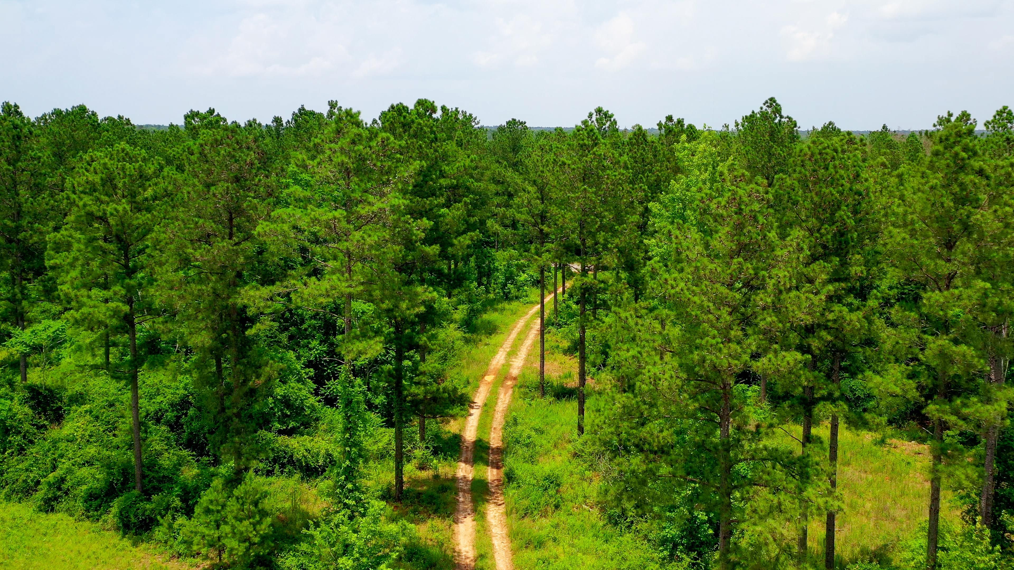 127 Acres, Wrens, GA 30833 Land and Farm