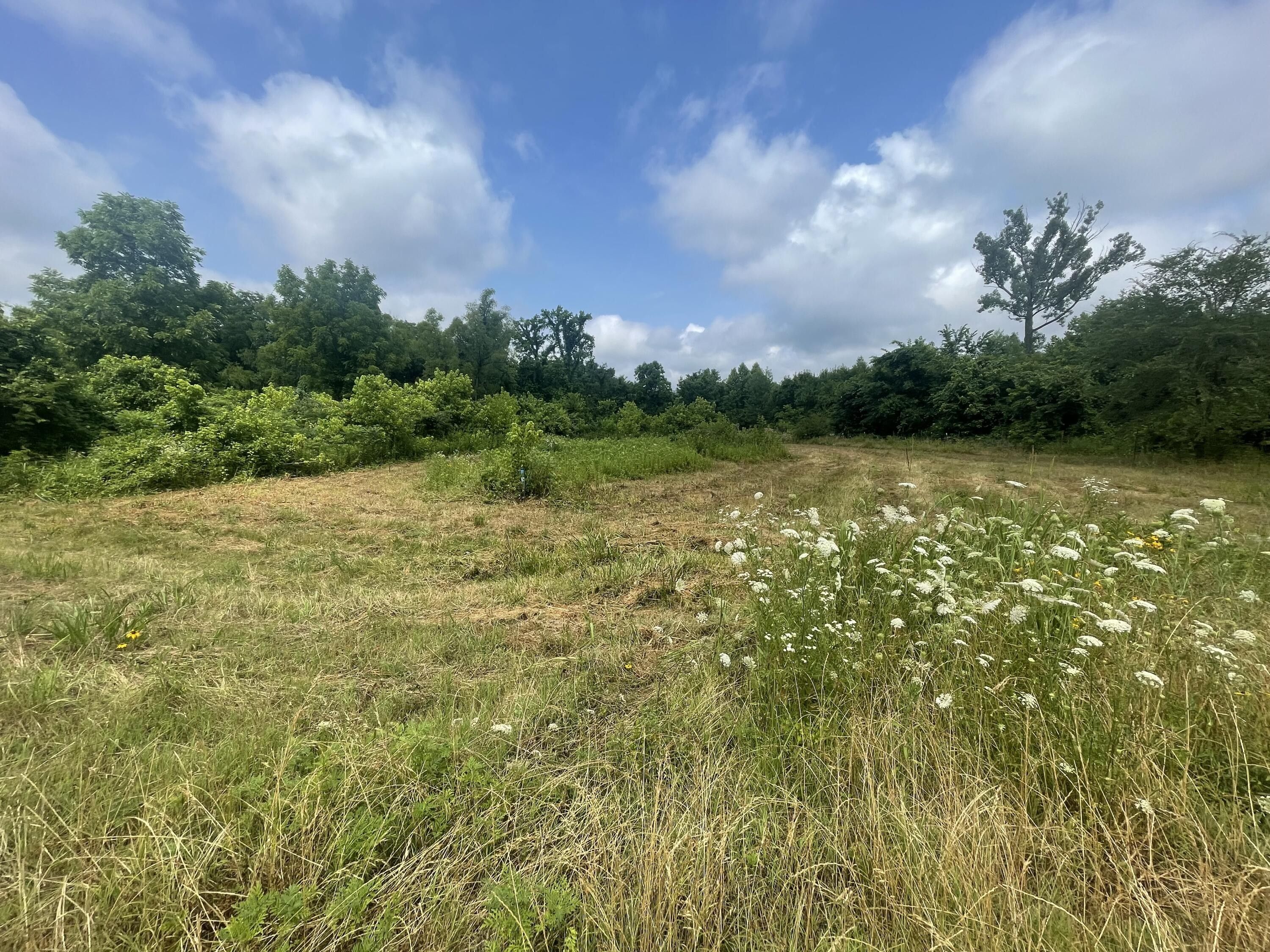 4.59 Acres, SR 27, Hector, AR 72843 Land and Farm