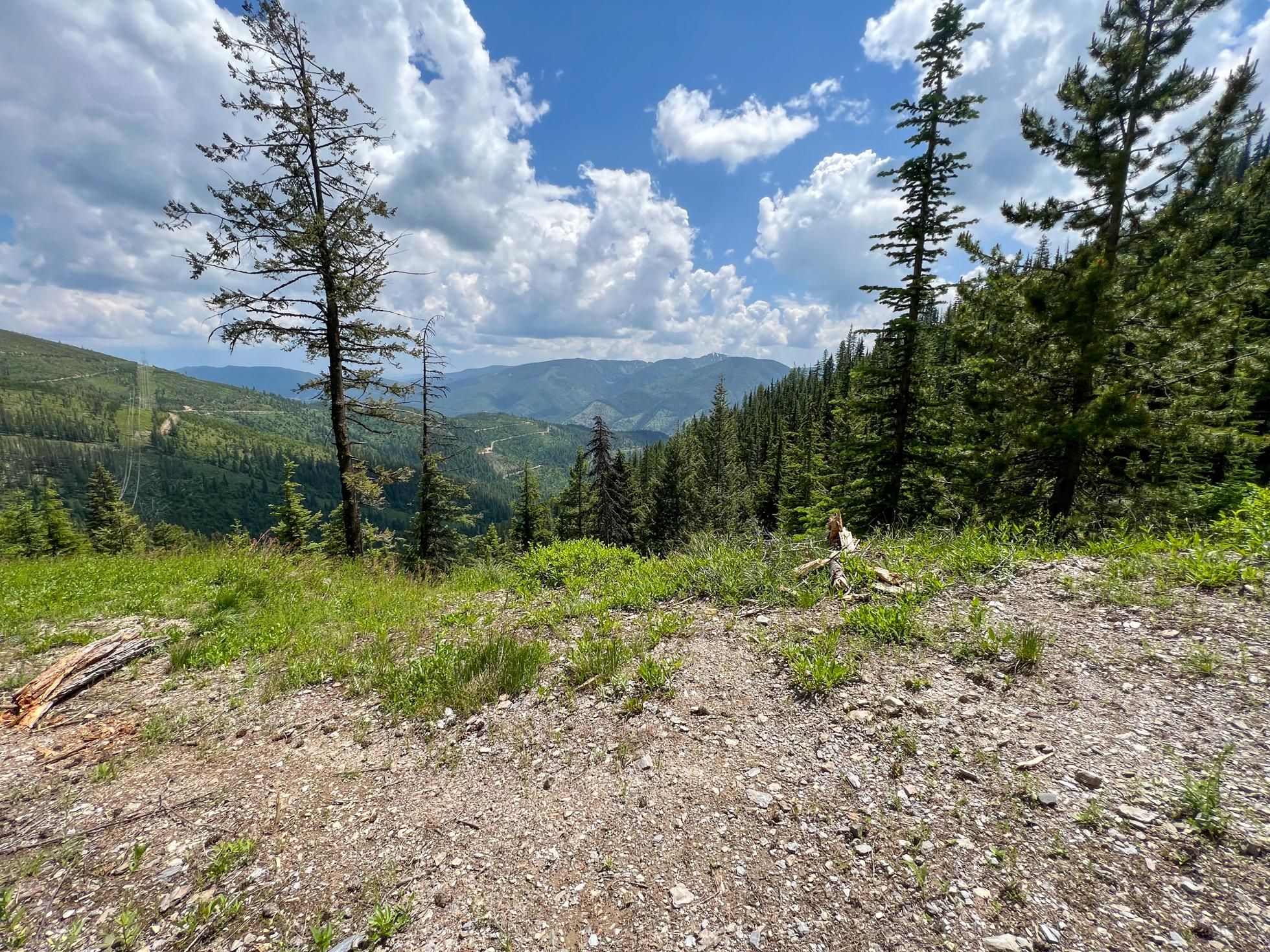NKA Daisy Gulch Road, Mullan, ID 83846 MLS 235511 Land and Farm