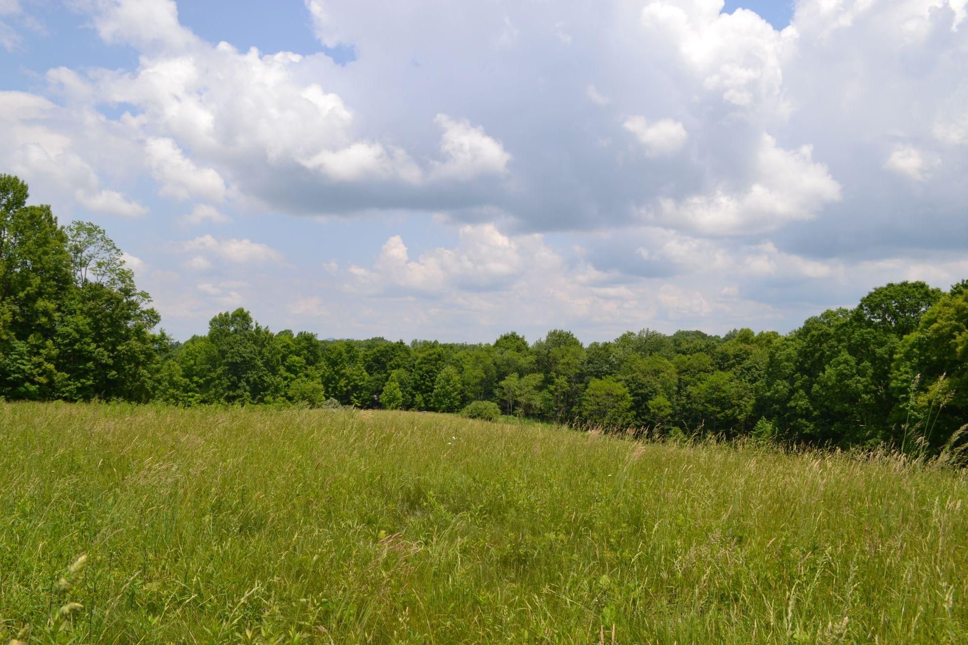 Ward Road, Nettie, WV 26681 MLS THE DORSEY RETREAT Land and Farm