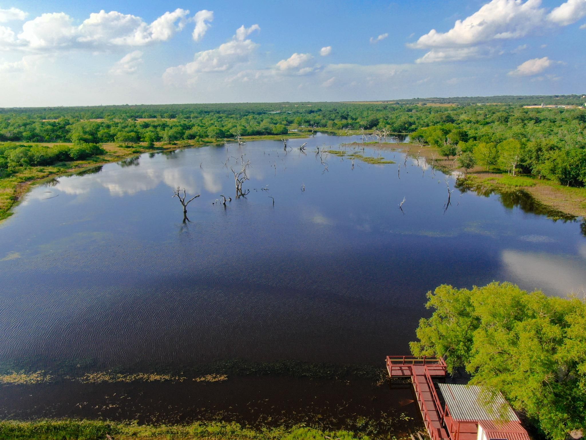 414 County Rd 311, Runge, TX 78151 Land and Farm