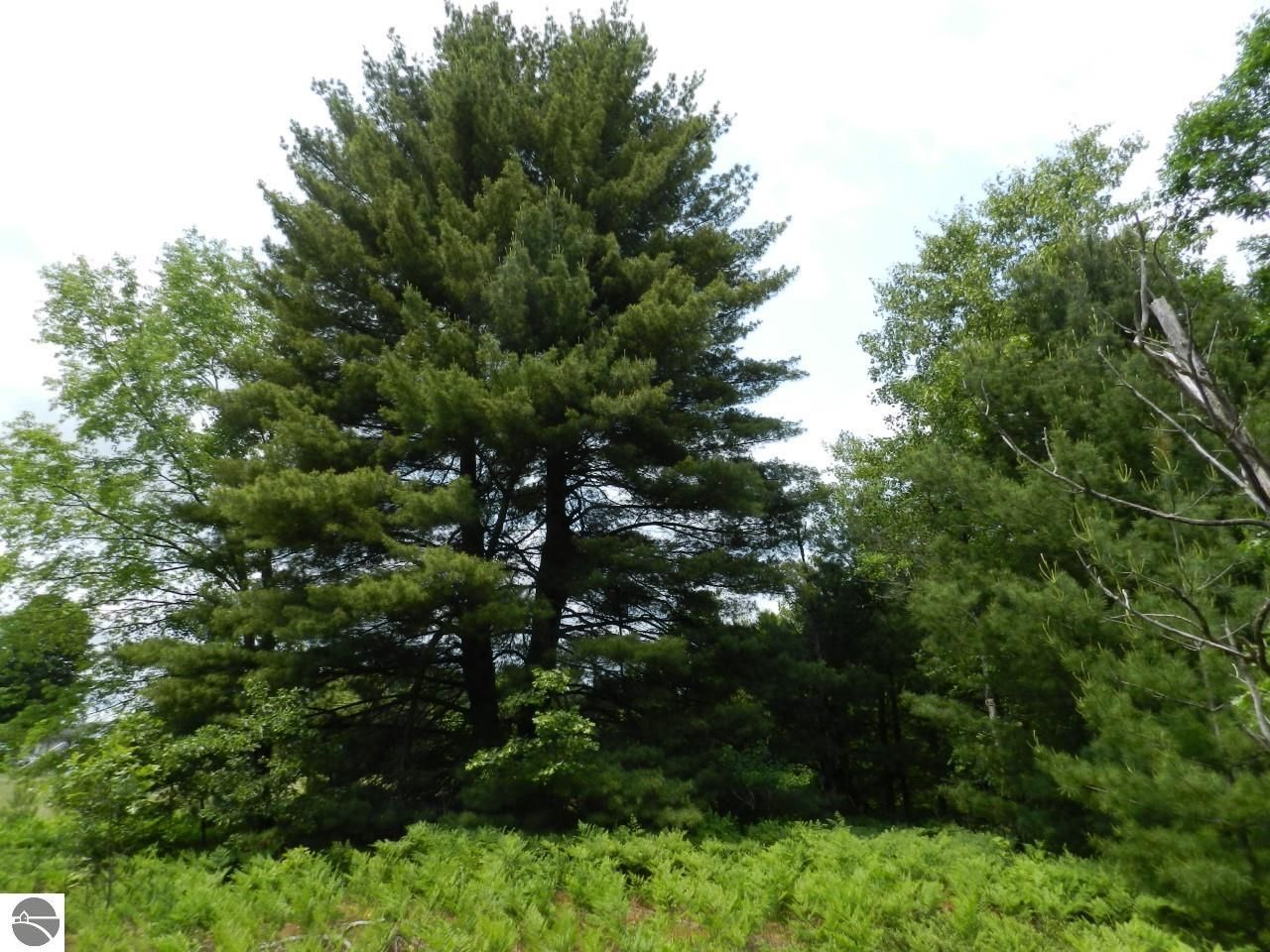 10 Acres, 000 Riley Road, Interlochen, MI 49463 Land and Farm