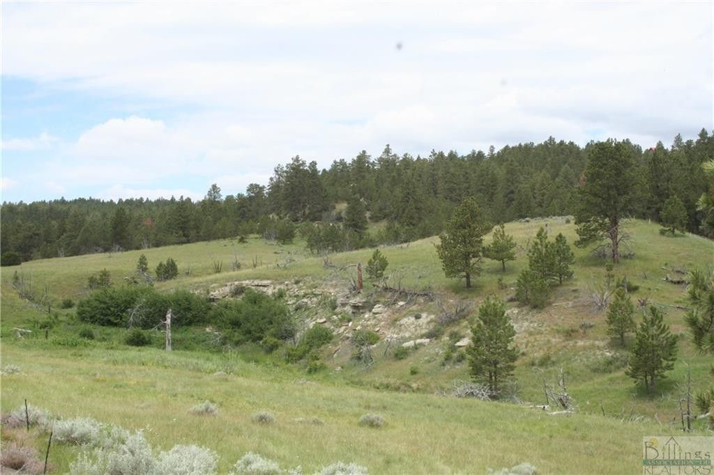40 Acres, 147 Haystack Coulee Rd., Reed Point, MT 59069 Land and Farm