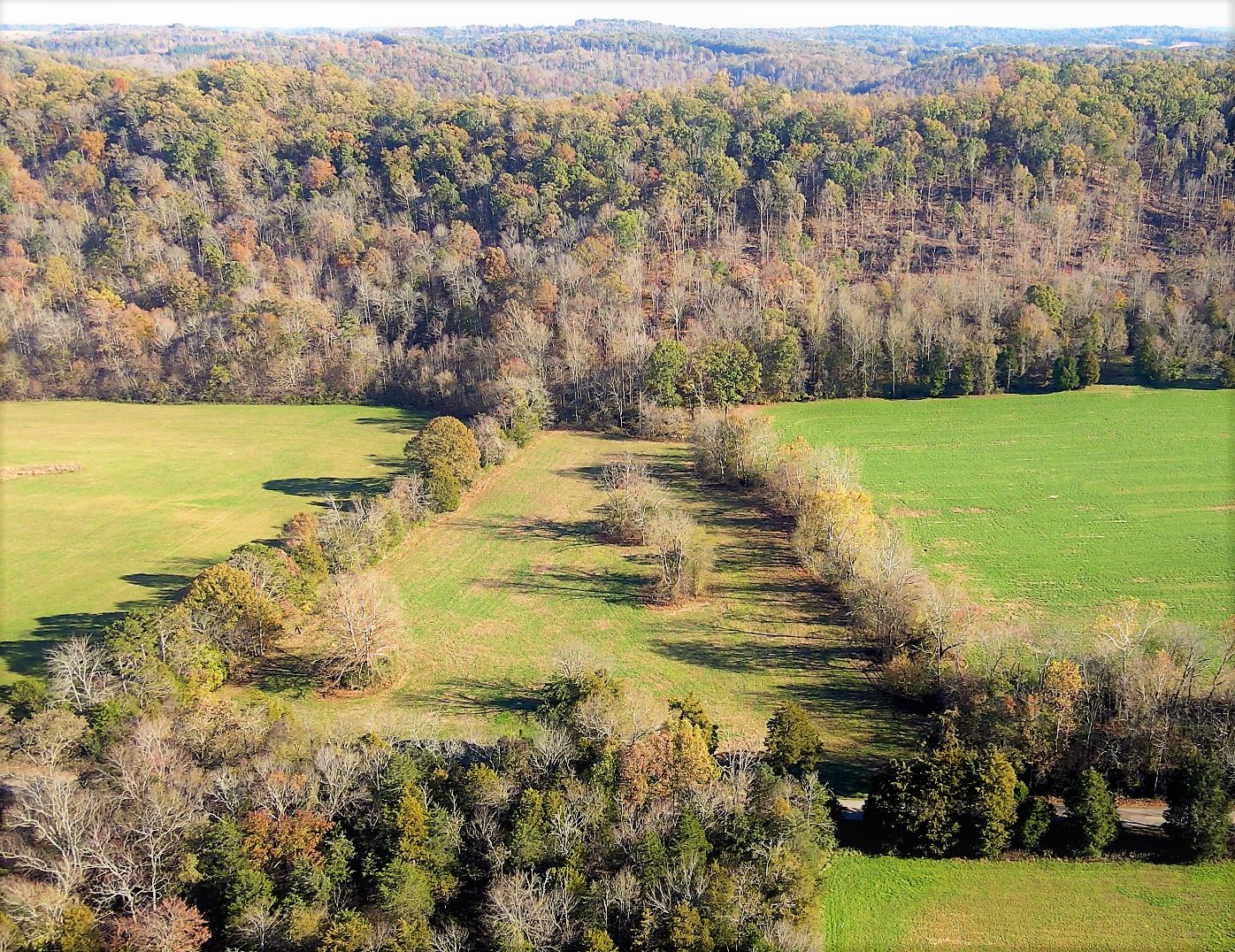 10.29 Acres, 601 Paint Rock Valley Road, Philadelphia, TN 37846 Land