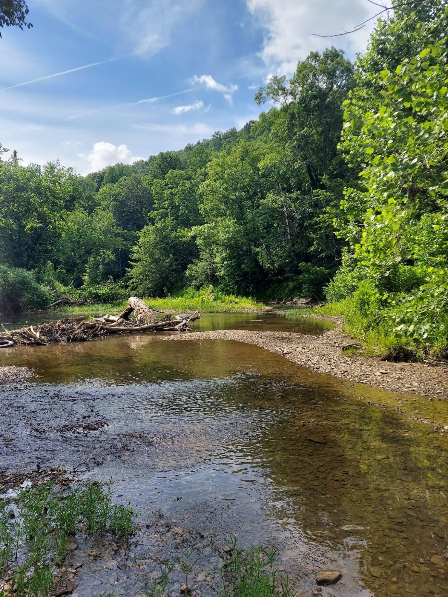 17 Acres, 0 Wagersville Road, Irvine, KY 40336 Land and Farm