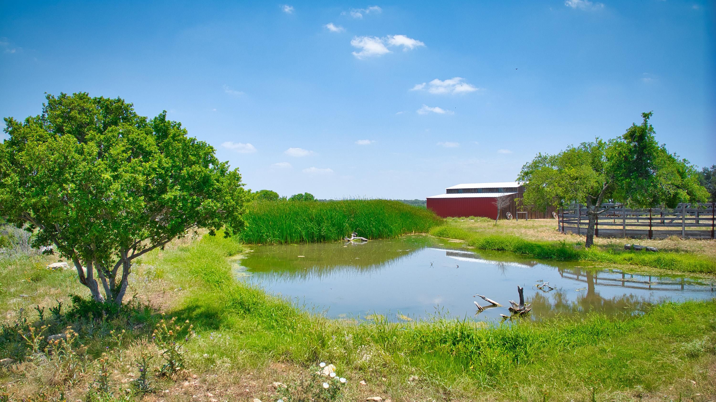 598 County Road 316, Eldorado, TX 76936 Land and Farm